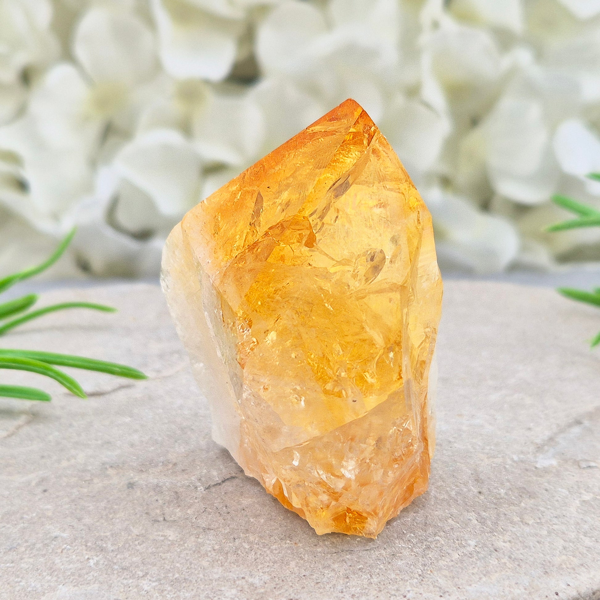 Citrine attracts abundance, joy, and success while boosting positivity, confidence, and creativity. It balances chakras, protects your aura, and improves focus.