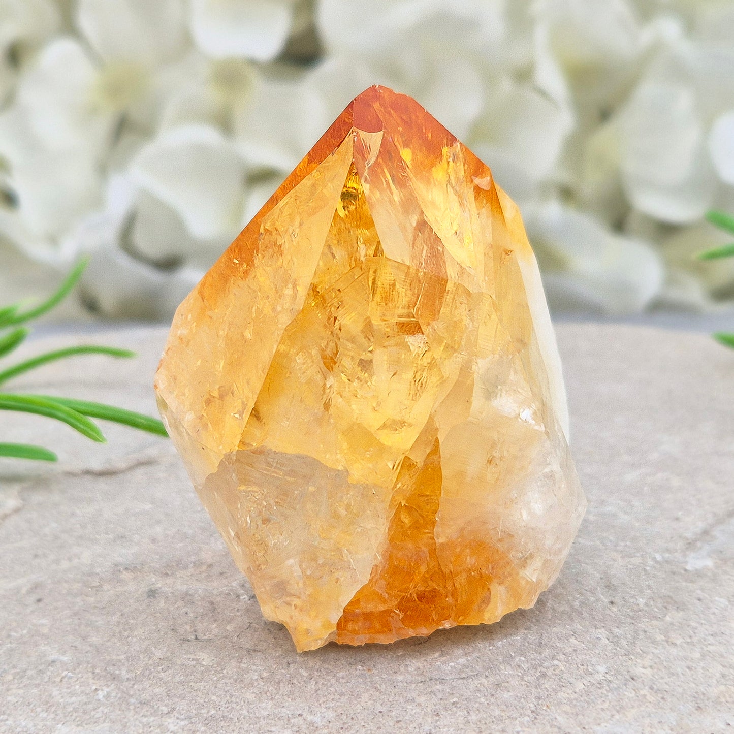 Citrine attracts abundance, joy, and success while boosting positivity, confidence, and creativity. It balances chakras, protects your aura, and improves focus.