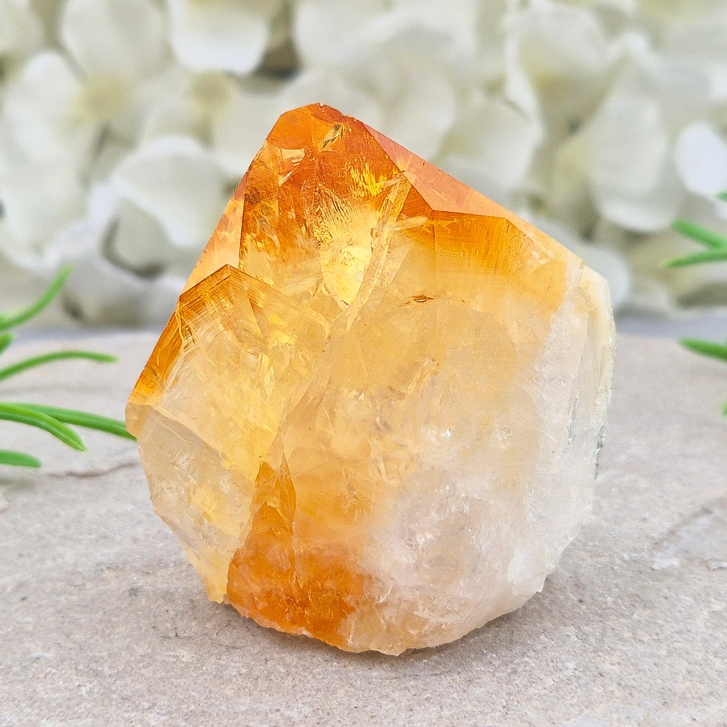 Citrine attracts abundance, joy, and success while boosting positivity, confidence, and creativity. It balances chakras, protects your aura, and improves focus.