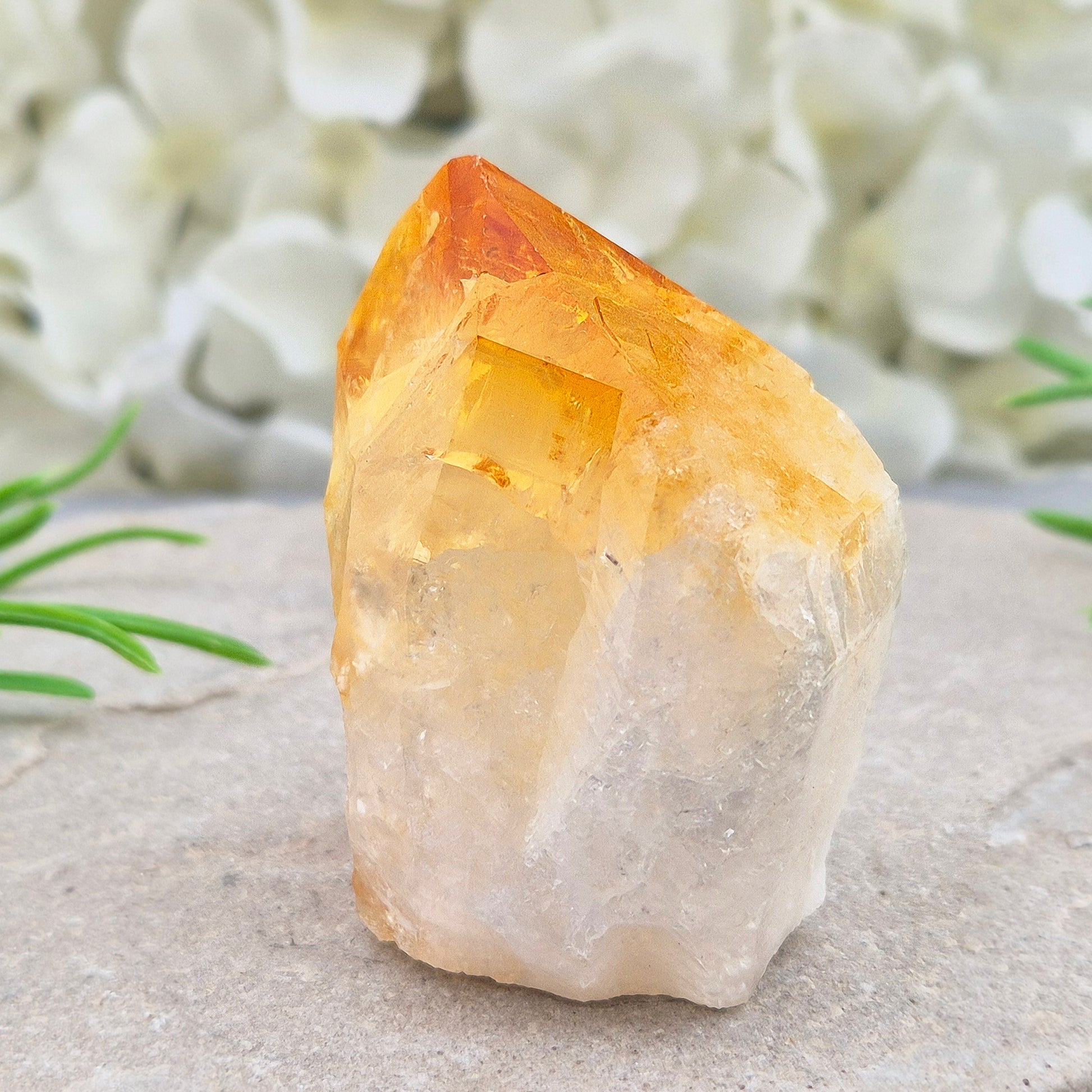 Citrine attracts abundance, joy, and success while boosting positivity, confidence, and creativity. It balances chakras, protects your aura, and improves focus.