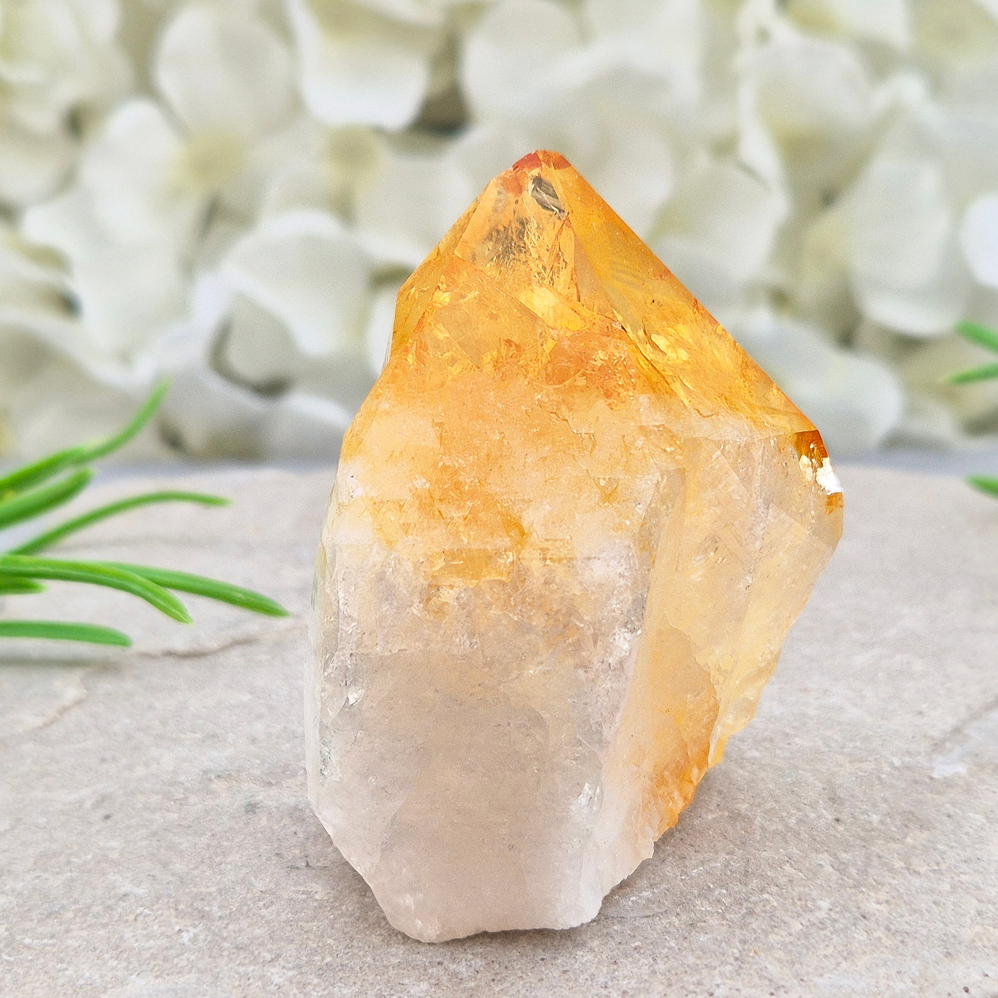 Citrine attracts abundance, joy, and success while boosting positivity, confidence, and creativity. It balances chakras, protects your aura, and improves focus.