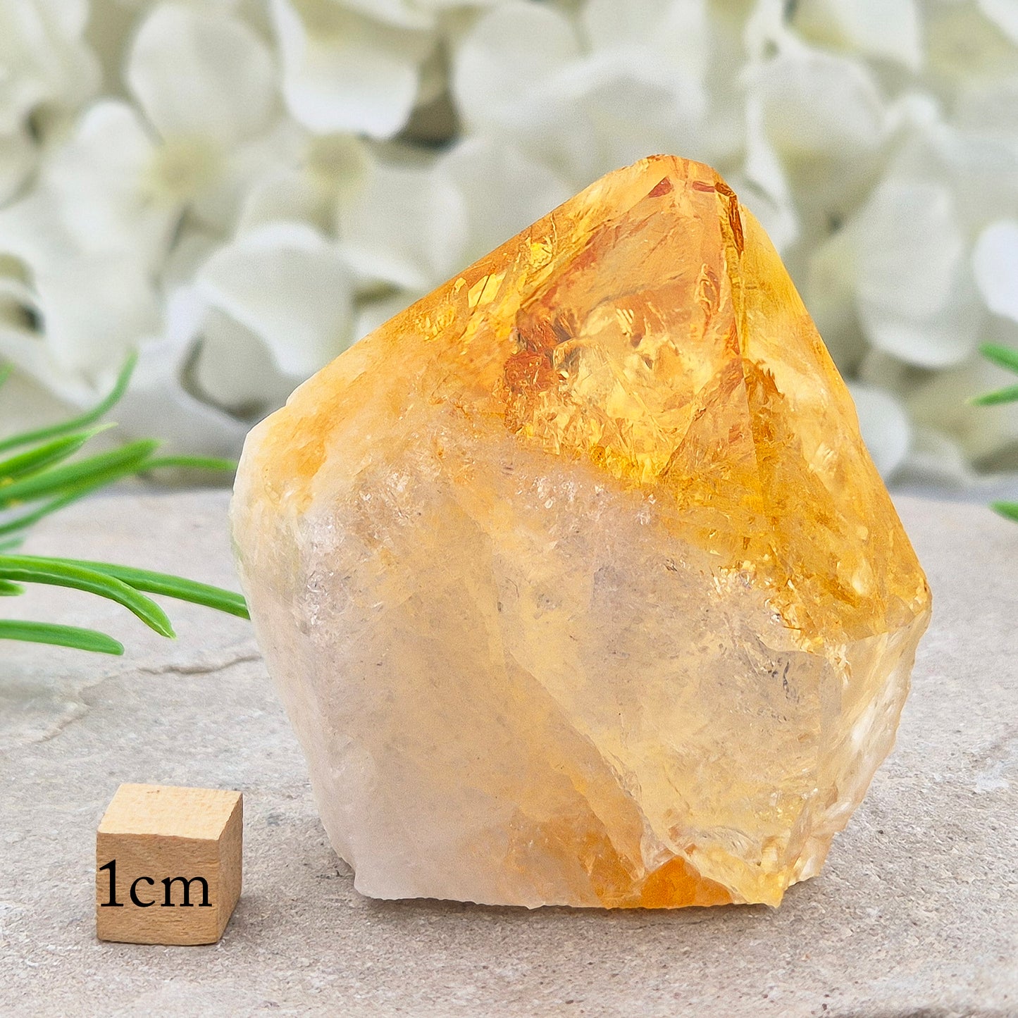 Citrine attracts abundance, joy, and success while boosting positivity, confidence, and creativity. It balances chakras, protects your aura, and improves focus.