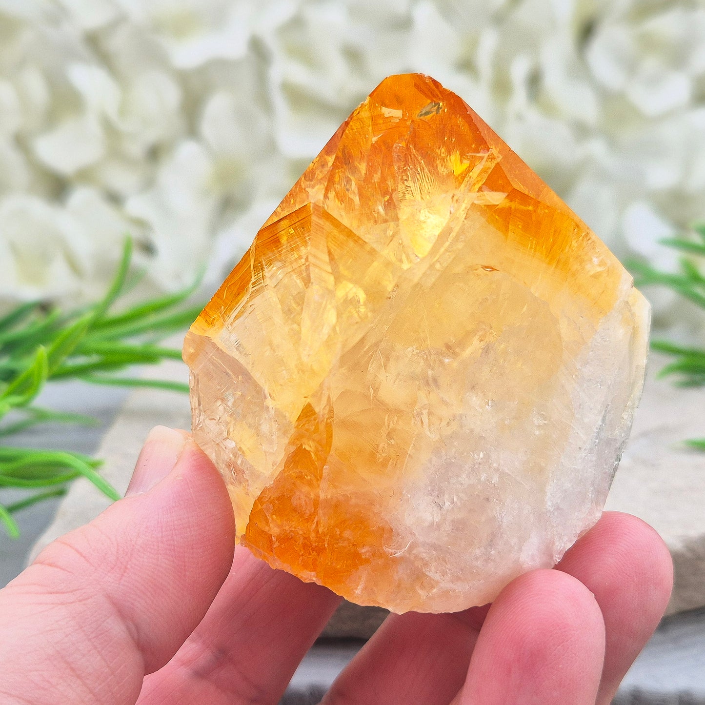 Citrine attracts abundance, joy, and success while boosting positivity, confidence, and creativity. It balances chakras, protects your aura, and improves focus.
