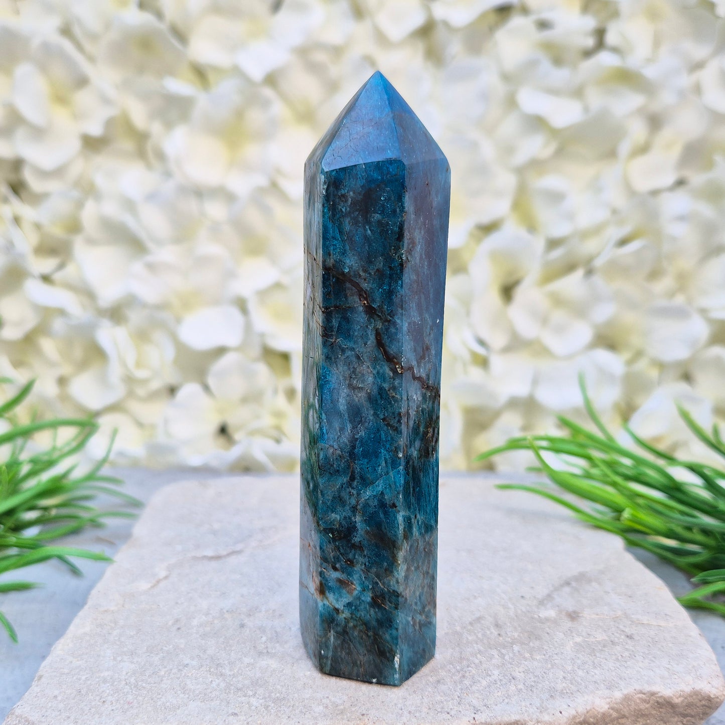 Blue Apatite polished generator point from Madagascar. Deep teal stone for focus, motivation, clear communication, and intuitive guidance.