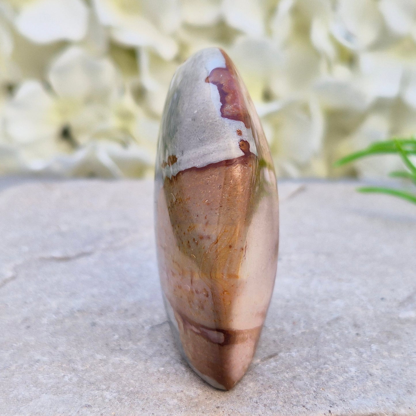 Polychrome Jasper polished freeform from Madagascar with warm earthy colours. A grounding crystal for stability, presence, and steady energy.