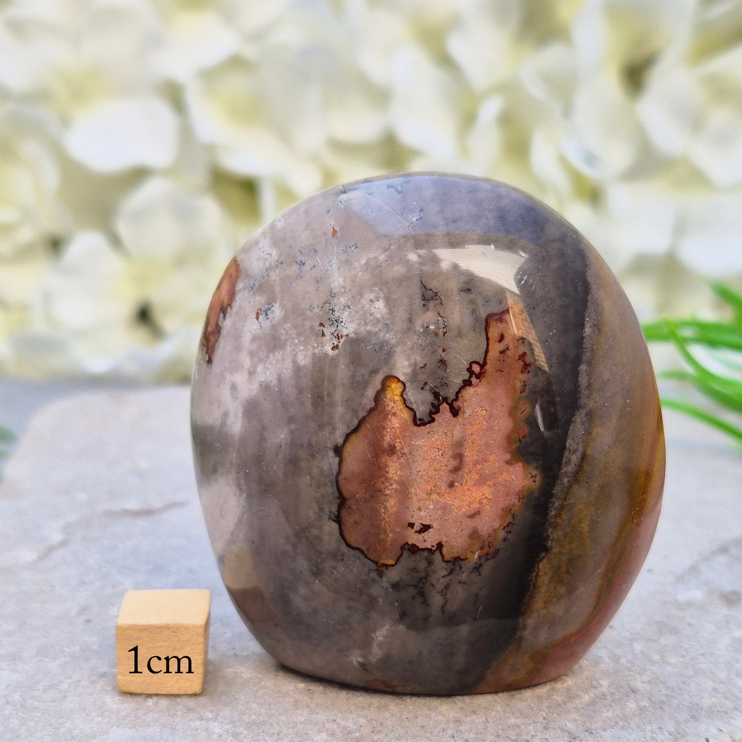 Polychrome Jasper freeform from Madagascar. Polished stone with earthy tones for grounding, stability, and balanced everyday energy.