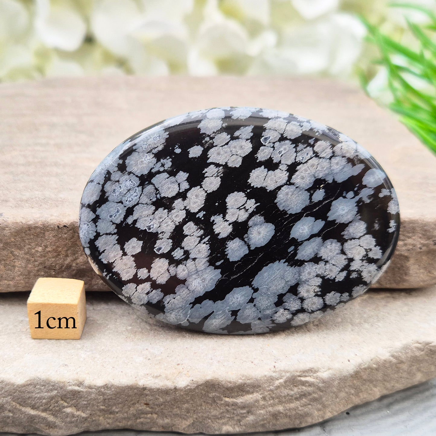 Snowflake Obsidian Crystal Palm Stone