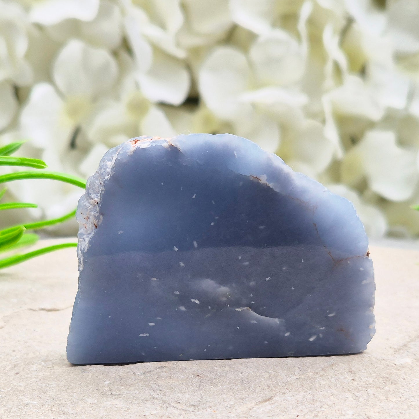 Natural Angelite polished standing freeform from Peru with soft blue tones and raw natural backing. A calming crystal for peaceful spaces.