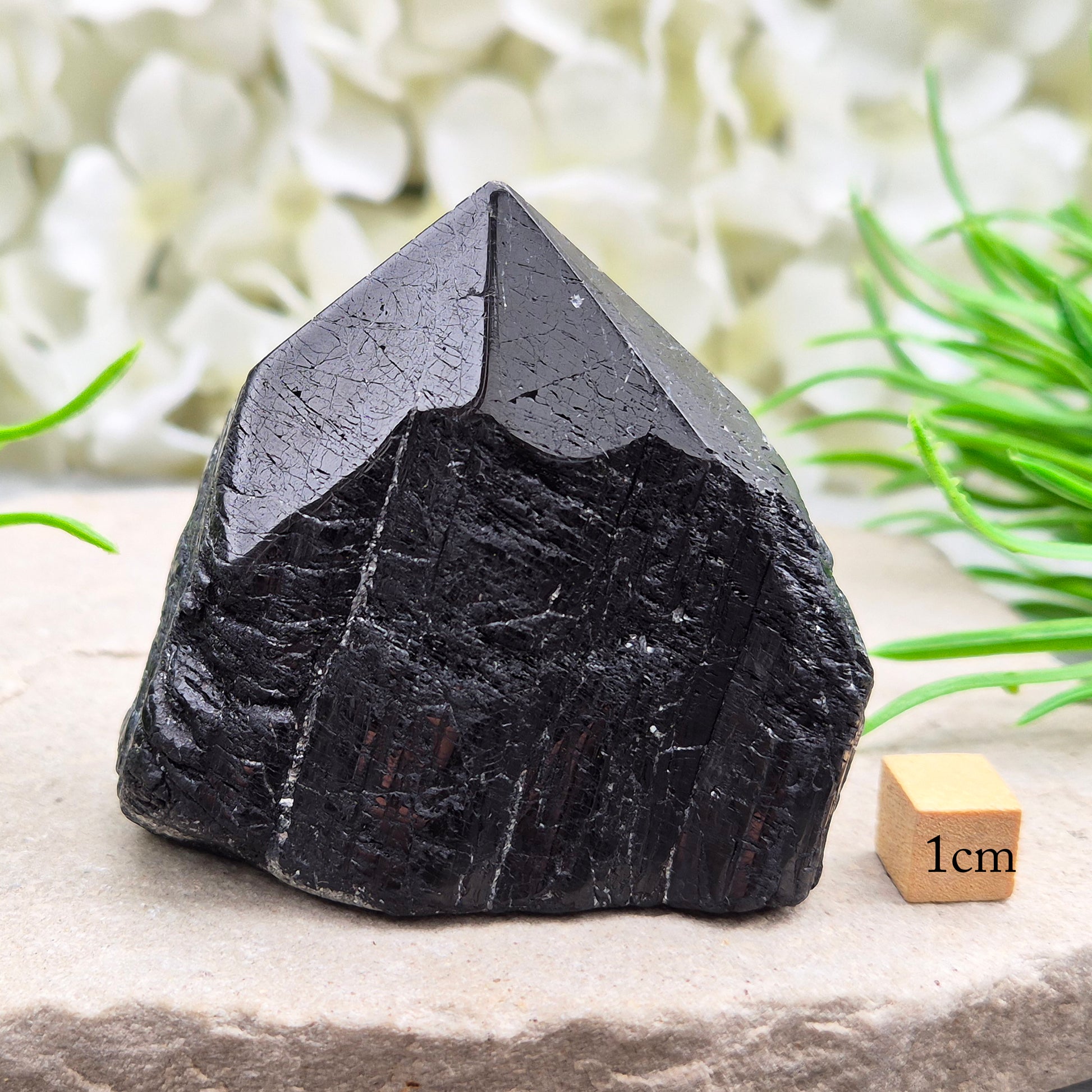 Natural Black Tourmaline standing point crystal for grounding, protection, and energy work. A powerful stone for stability, focus, and balance.