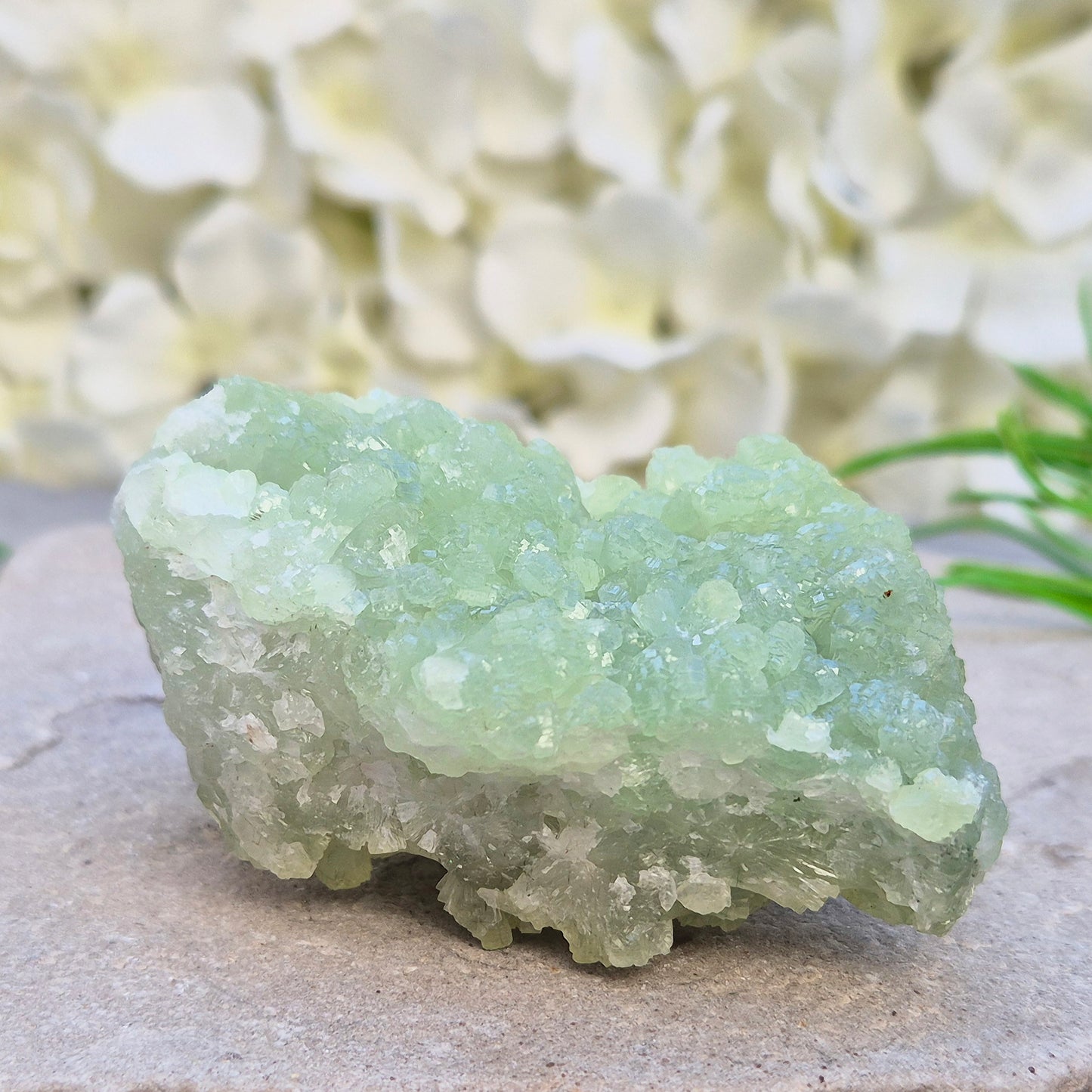 Natural Prehnite cluster from Mali with soft green tones and calming energy. A soothing crystal for emotional balance, rest, and peaceful spaces.