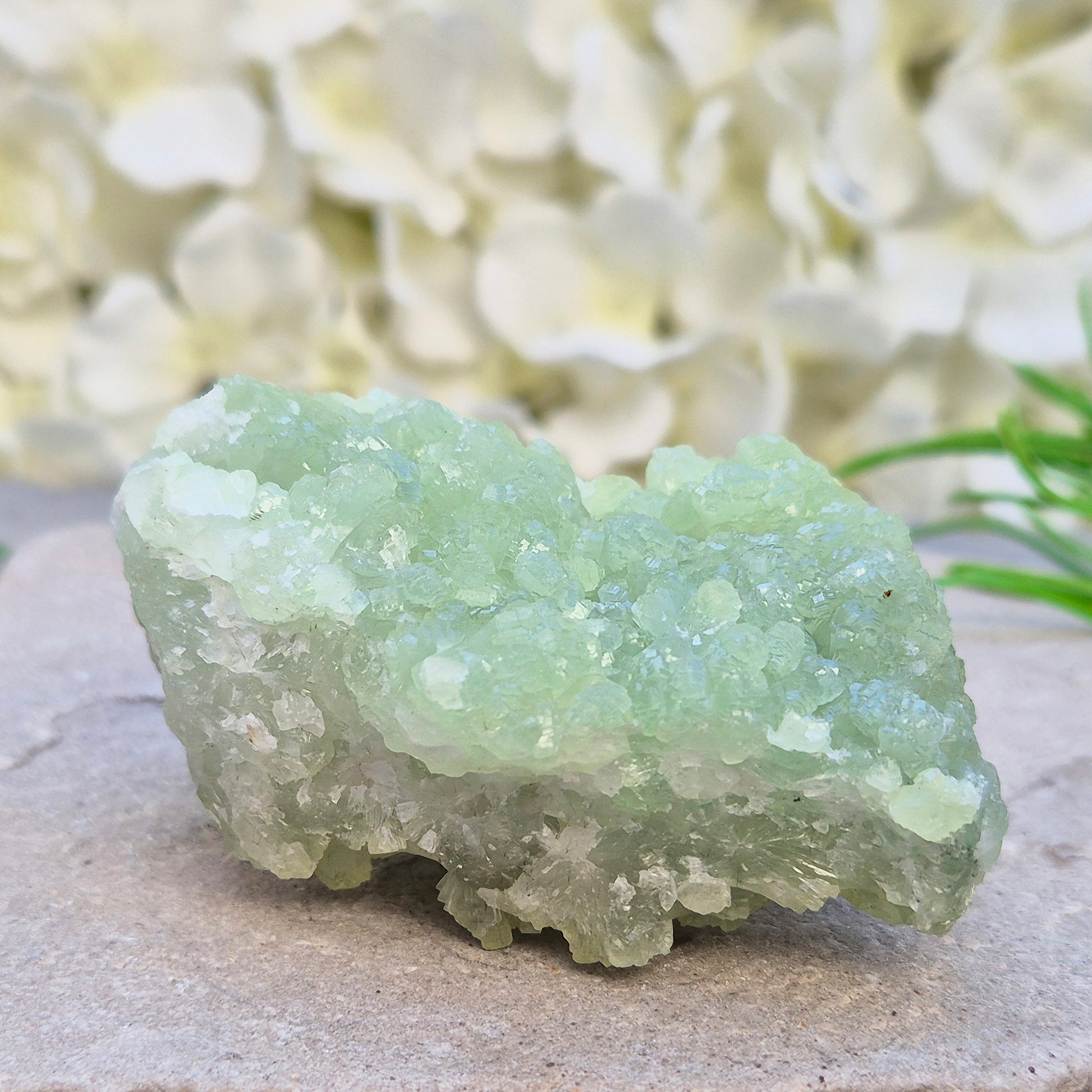 Natural Prehnite cluster from Mali with soft green tones and calming energy. A soothing crystal for emotional balance, rest, and peaceful spaces.