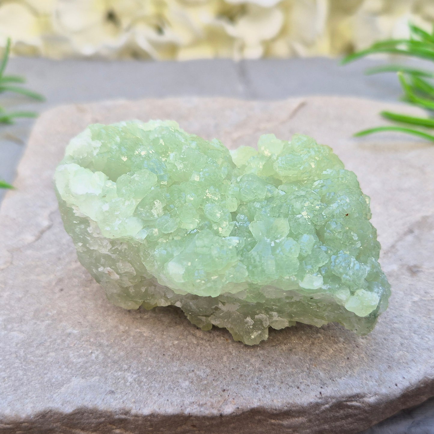 Natural Prehnite cluster from Mali with soft green tones and calming energy. A soothing crystal for emotional balance, rest, and peaceful spaces.