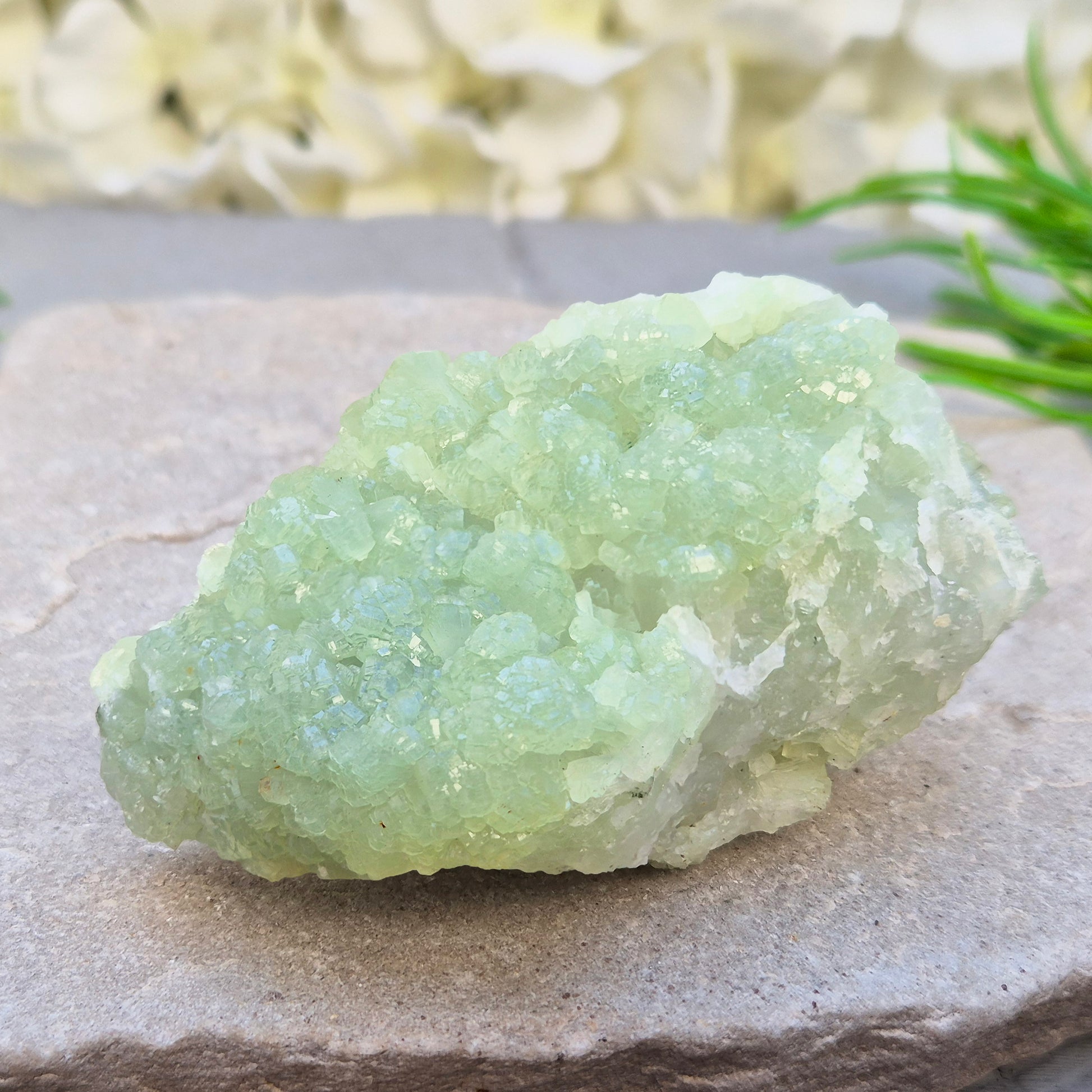 Natural Prehnite cluster from Mali with soft green tones and calming energy. A soothing crystal for emotional balance, rest, and peaceful spaces.