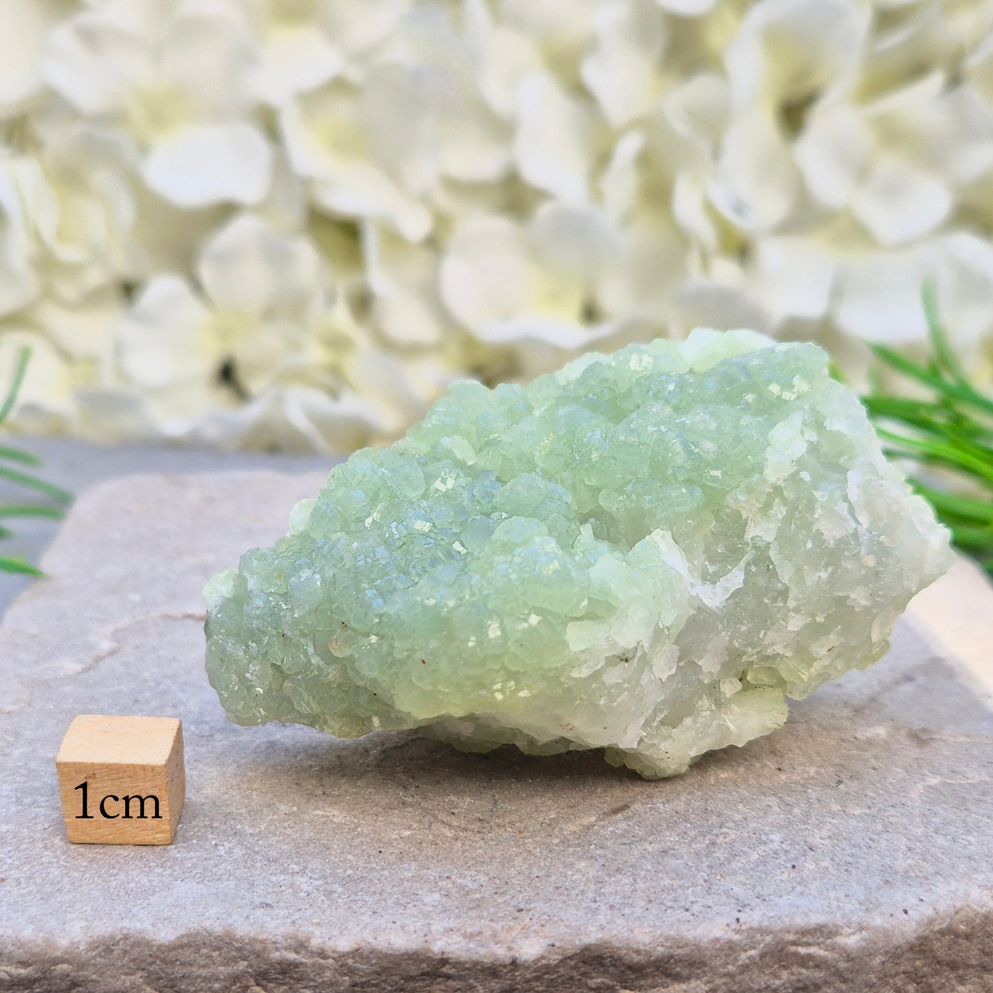 Natural Prehnite cluster from Mali with soft green tones and calming energy. A soothing crystal for emotional balance, rest, and peaceful spaces.