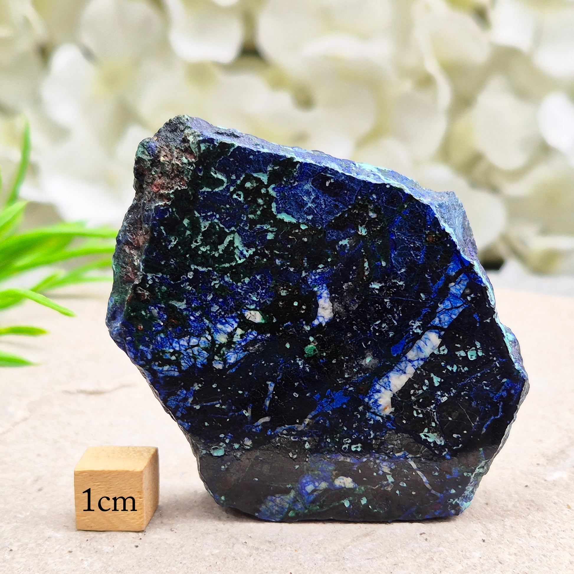 Natural Azurite crystal slice with vivid deep blue colouring and striking mineral patterns. A beautiful stone linked with intuition and awareness.