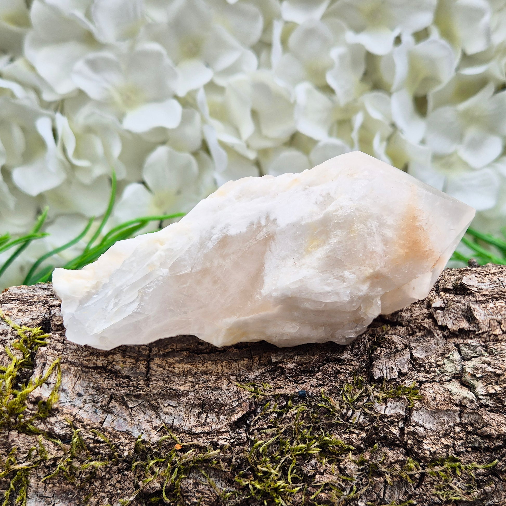 Candle Quartz crystal from Madagascar, a natural pineapple quartz point with layered formations, used for spiritual growth and meditation support.