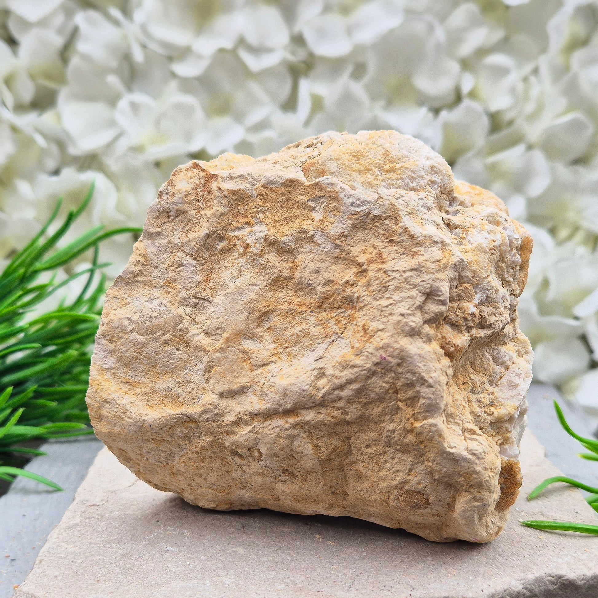 Quartz geode pair that brings a soothing, balanced atmosphere to any room. A lovely choice for home styling, meditation, and crystal lovers.