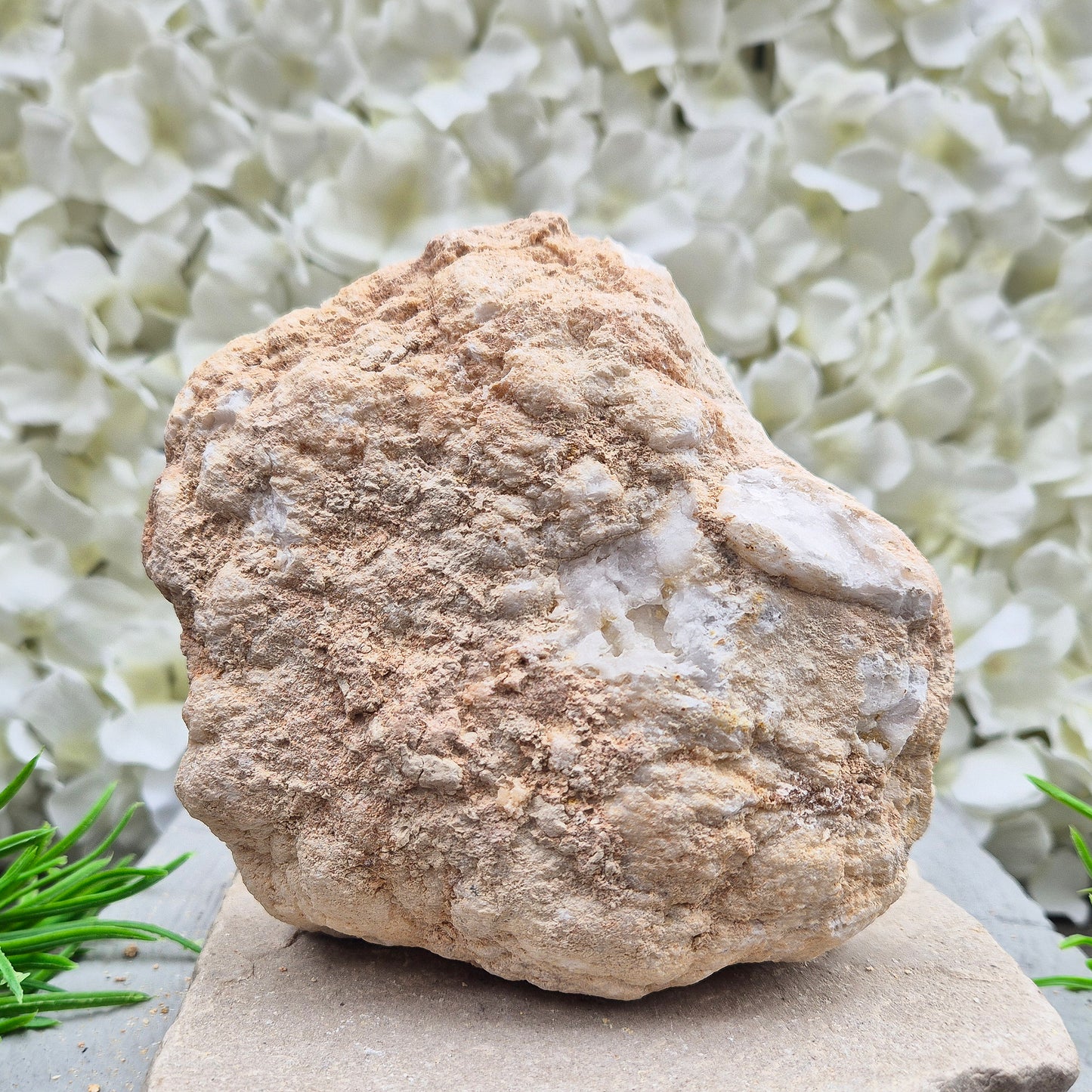 Shop self-standing Quartz geode pairs with sparkling natural crystal interiors. Beautiful for display, energy work, gifting, and home décor.