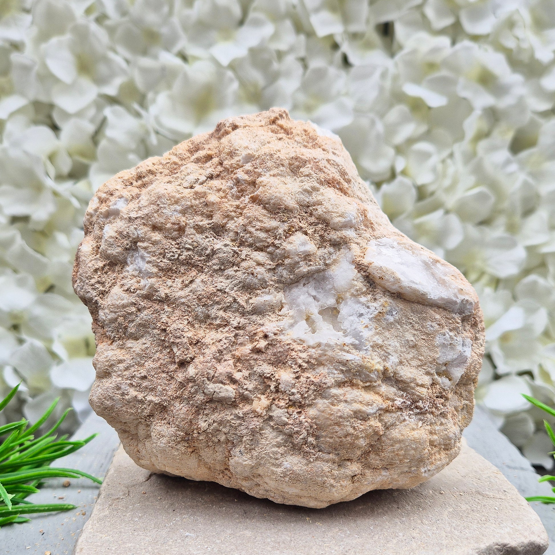 Shop self-standing Quartz geode pairs with sparkling natural crystal interiors. Beautiful for display, energy work, gifting, and home décor.