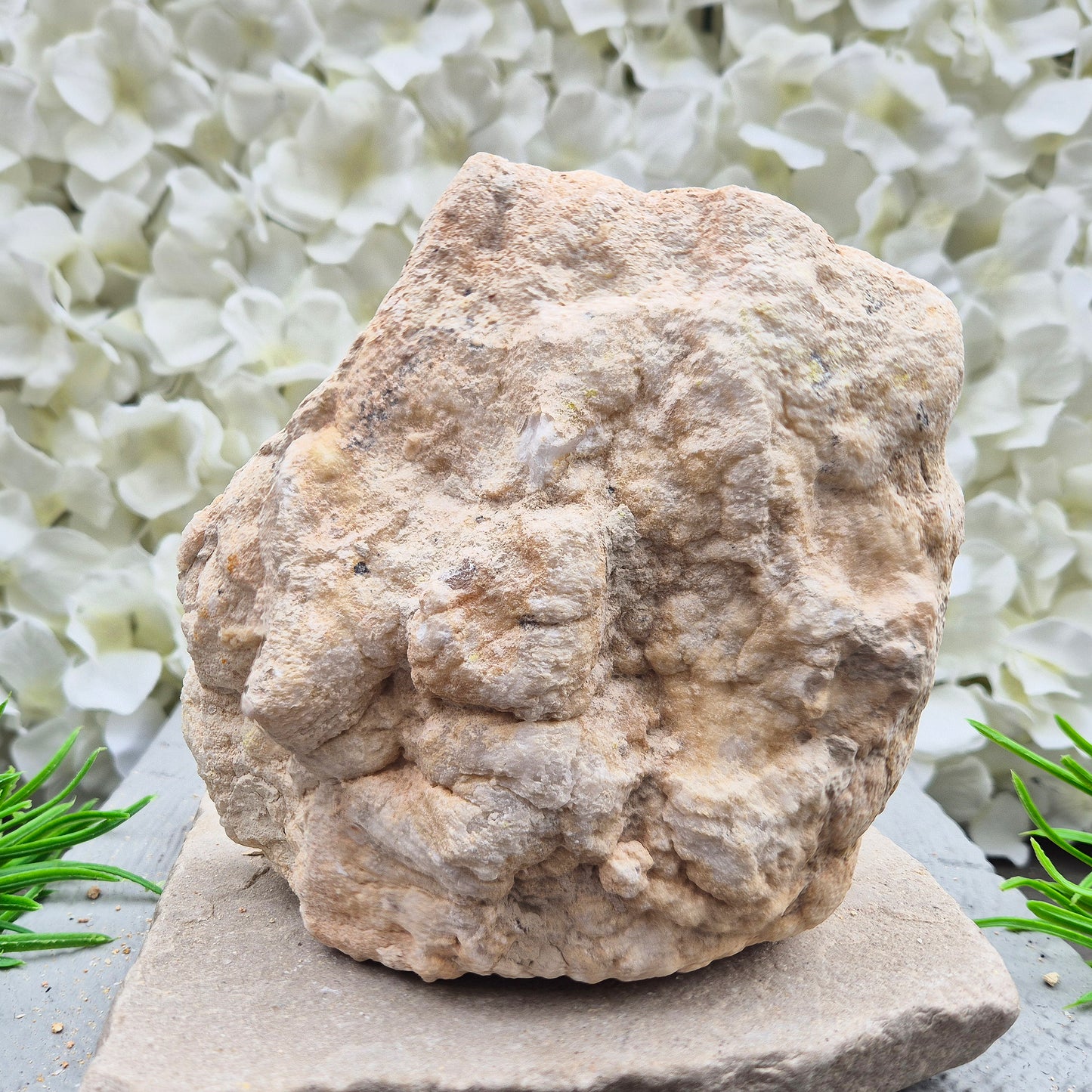 Shop self-standing Quartz geode pairs with sparkling natural crystal interiors. Beautiful for display, energy work, gifting, and home décor.