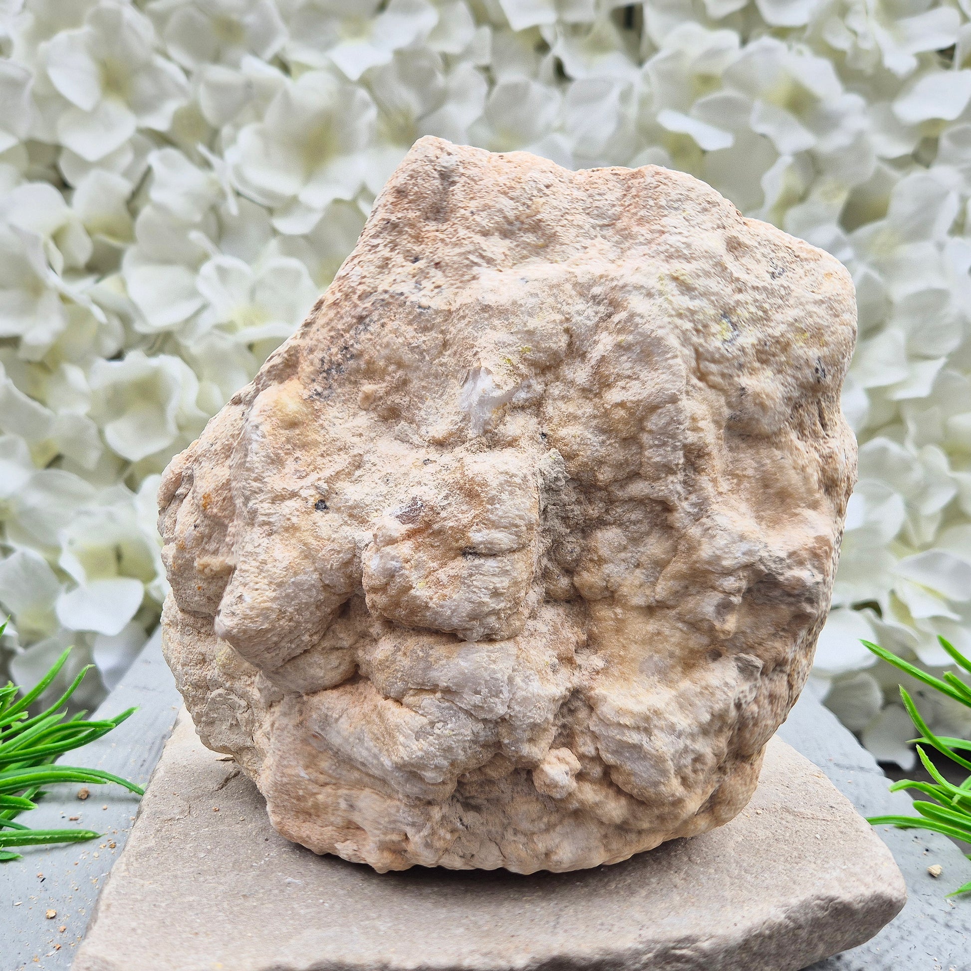 Shop self-standing Quartz geode pairs with sparkling natural crystal interiors. Beautiful for display, energy work, gifting, and home décor.