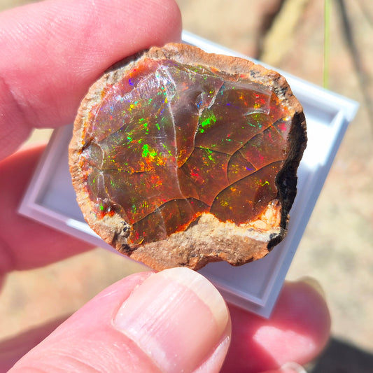 Natural Shewa Opal from Ethiopia. Raw volcanic opal with earthy tones. Supports emotional steadiness, reflection and grounding during times of change.