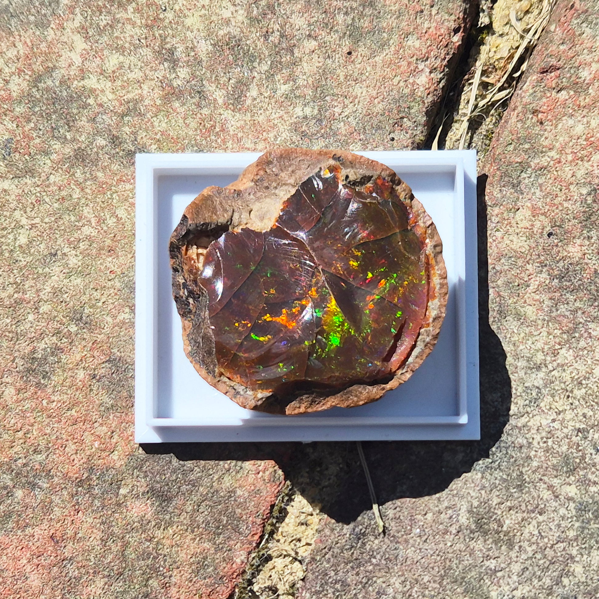 Natural Shewa Opal from Ethiopia. Raw volcanic opal with earthy tones. Supports emotional steadiness, reflection and grounding during times of change.