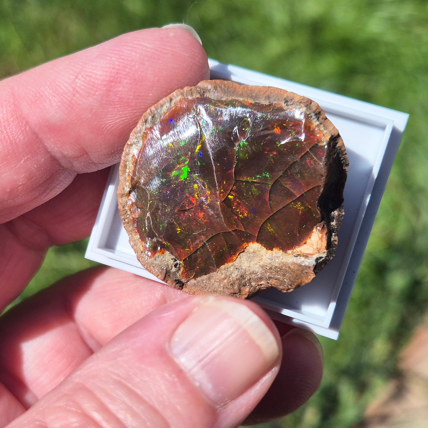 Natural Shewa Opal from Ethiopia. Raw volcanic opal with earthy tones. Supports emotional steadiness, reflection and grounding during times of change.