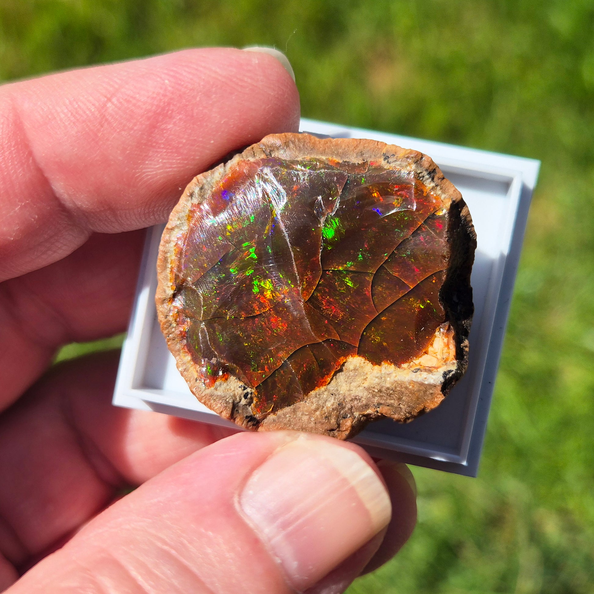 Natural Shewa Opal from Ethiopia. Raw volcanic opal with earthy tones. Supports emotional steadiness, reflection and grounding during times of change.