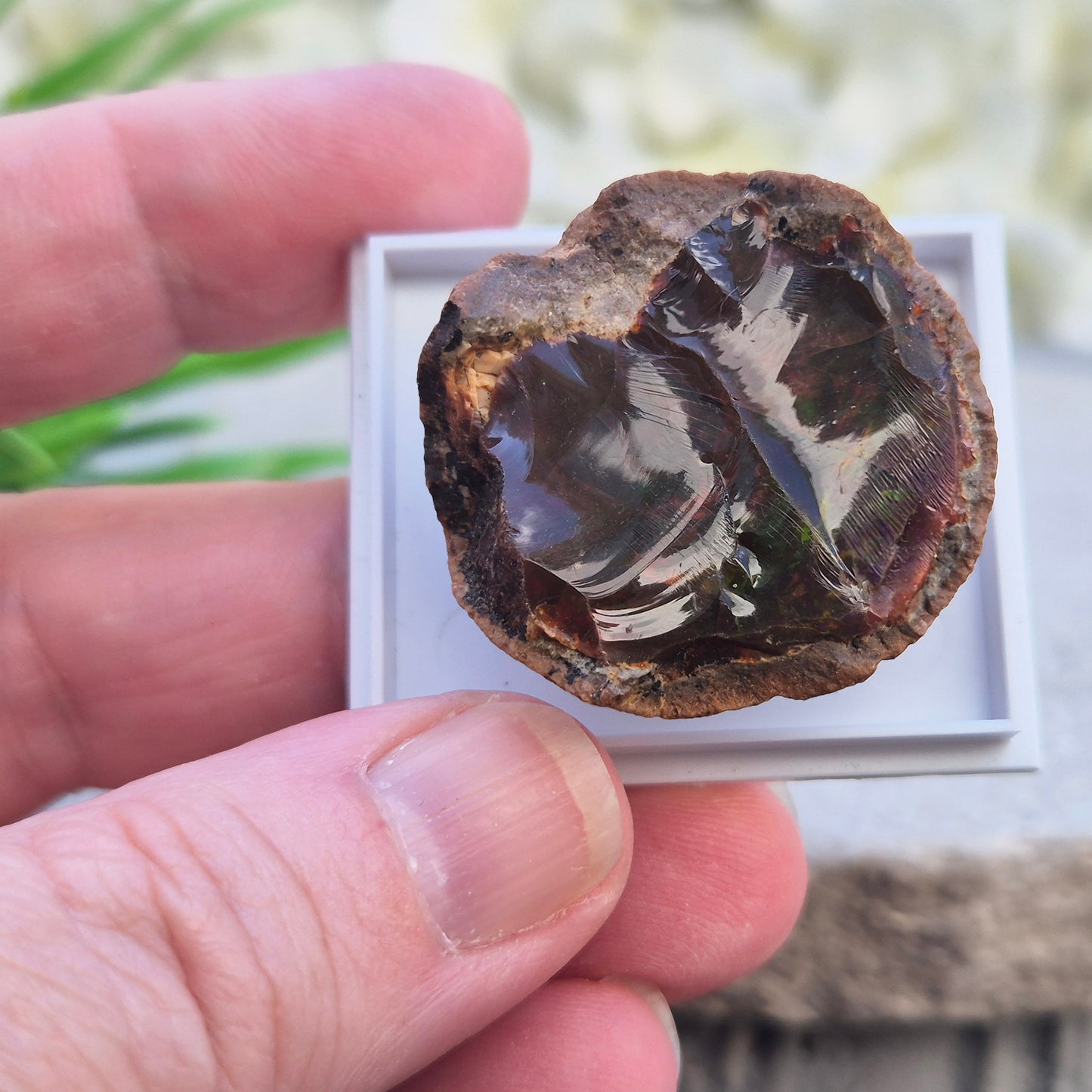 Natural Shewa Opal from Ethiopia. Raw volcanic opal with earthy tones. Supports emotional steadiness, reflection and grounding during times of change.