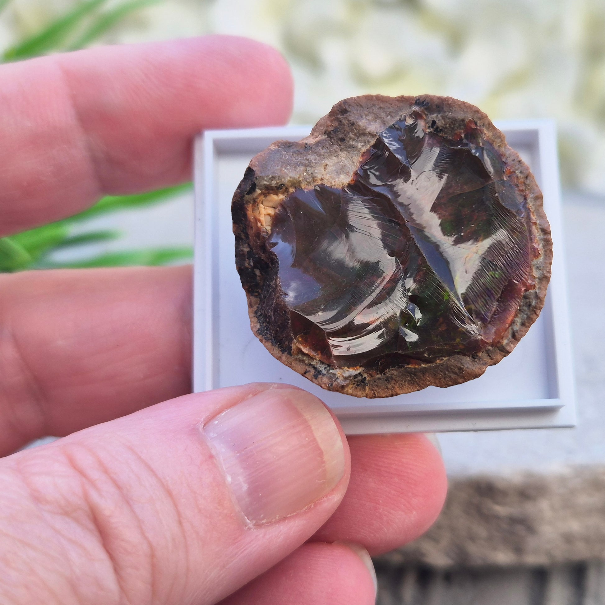 Natural Shewa Opal from Ethiopia. Raw volcanic opal with earthy tones. Supports emotional steadiness, reflection and grounding during times of change.