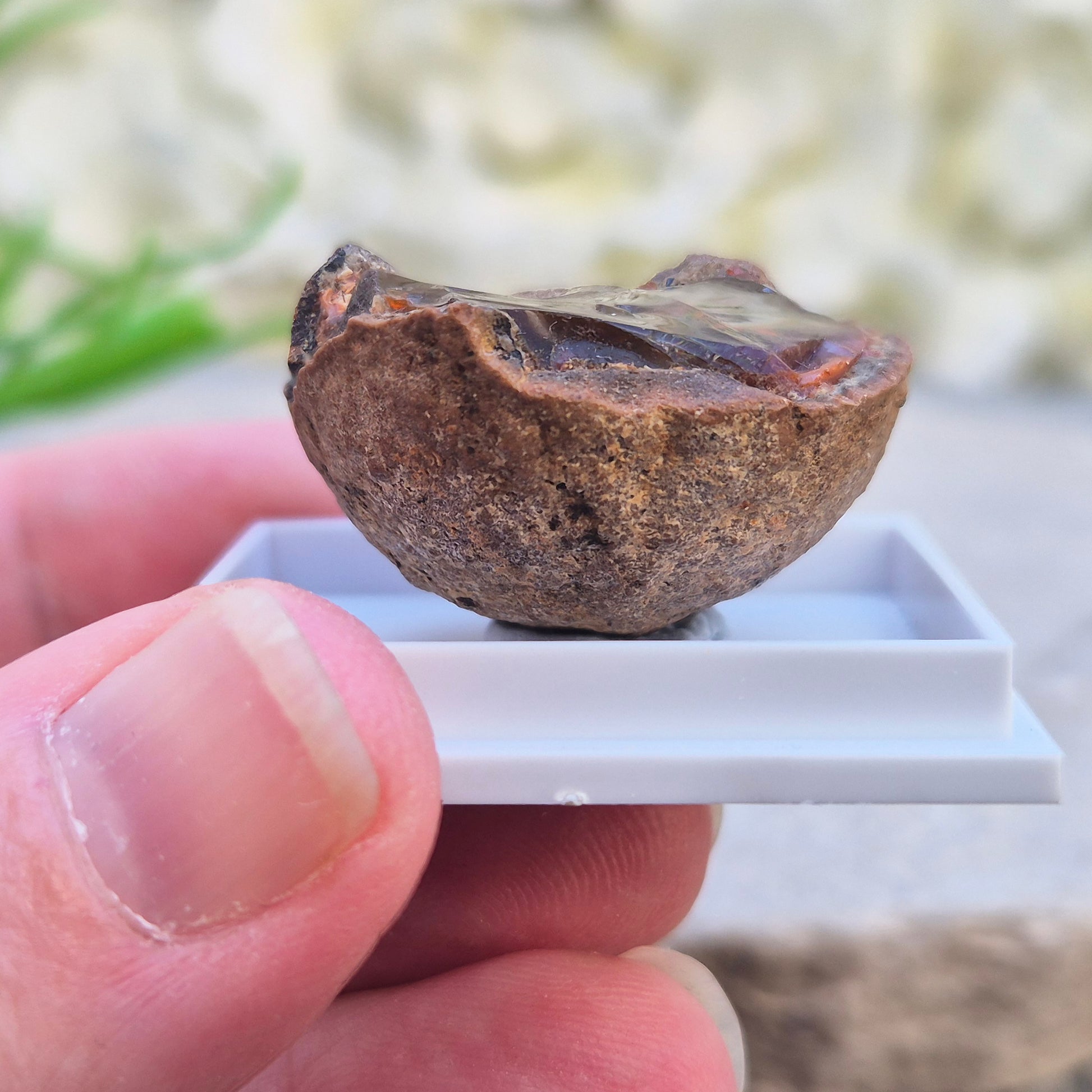 Natural Shewa Opal from Ethiopia. Raw volcanic opal with earthy tones. Supports emotional steadiness, reflection and grounding during times of change.