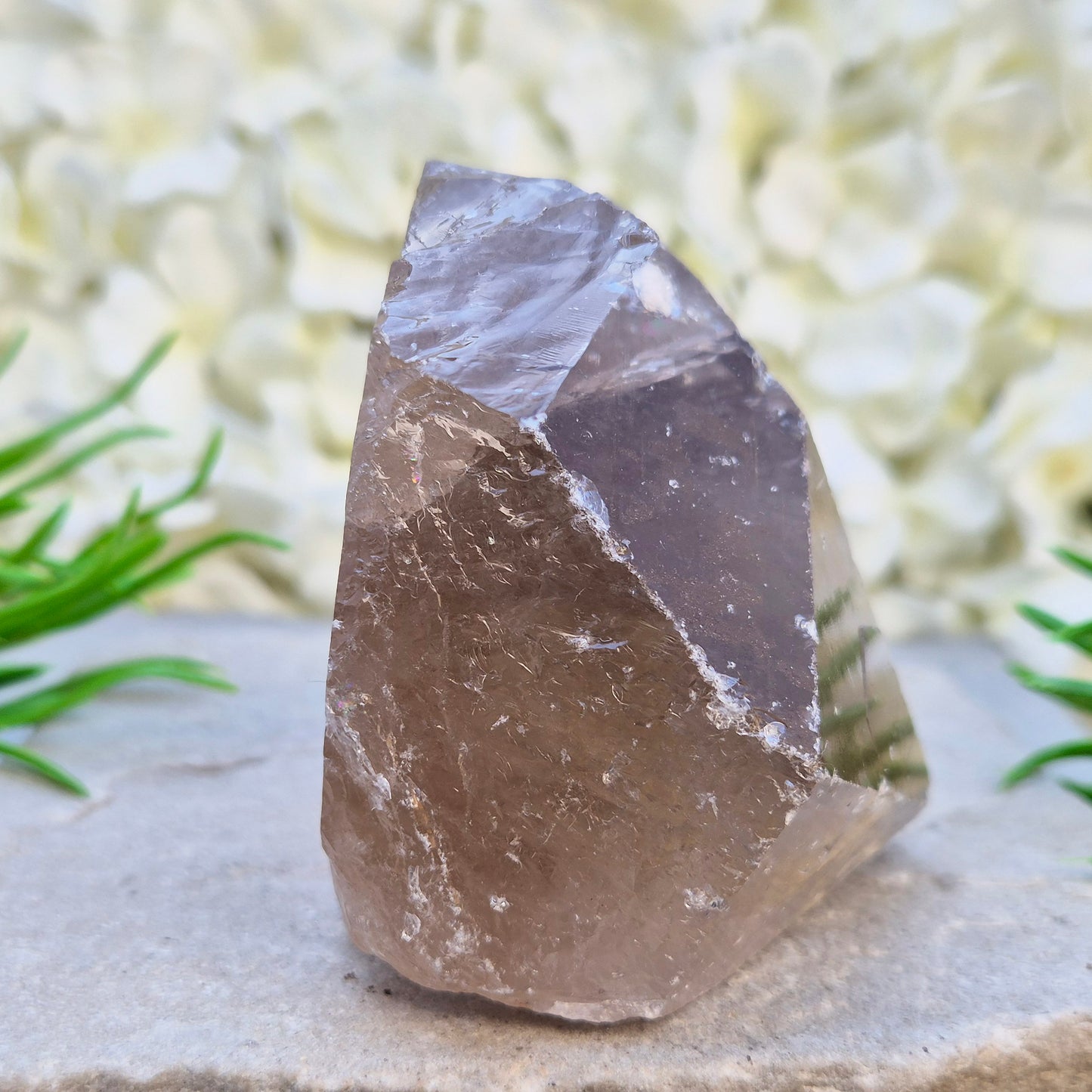Smoky Quartz freeform from Brazil with polished face and natural sides. A grounding crystal for protection, calm focus, and emotional release.