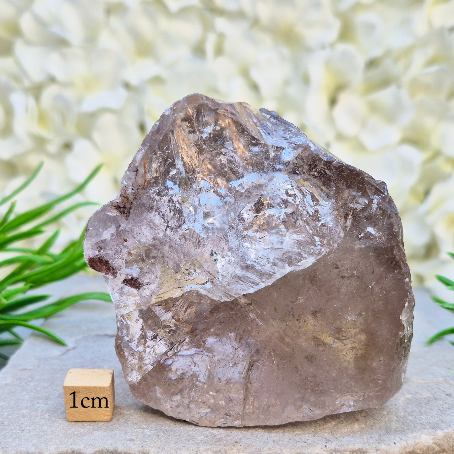 Smoky Quartz freeform from Brazil with polished face and natural sides. A grounding crystal for protection, calm focus, and emotional release.