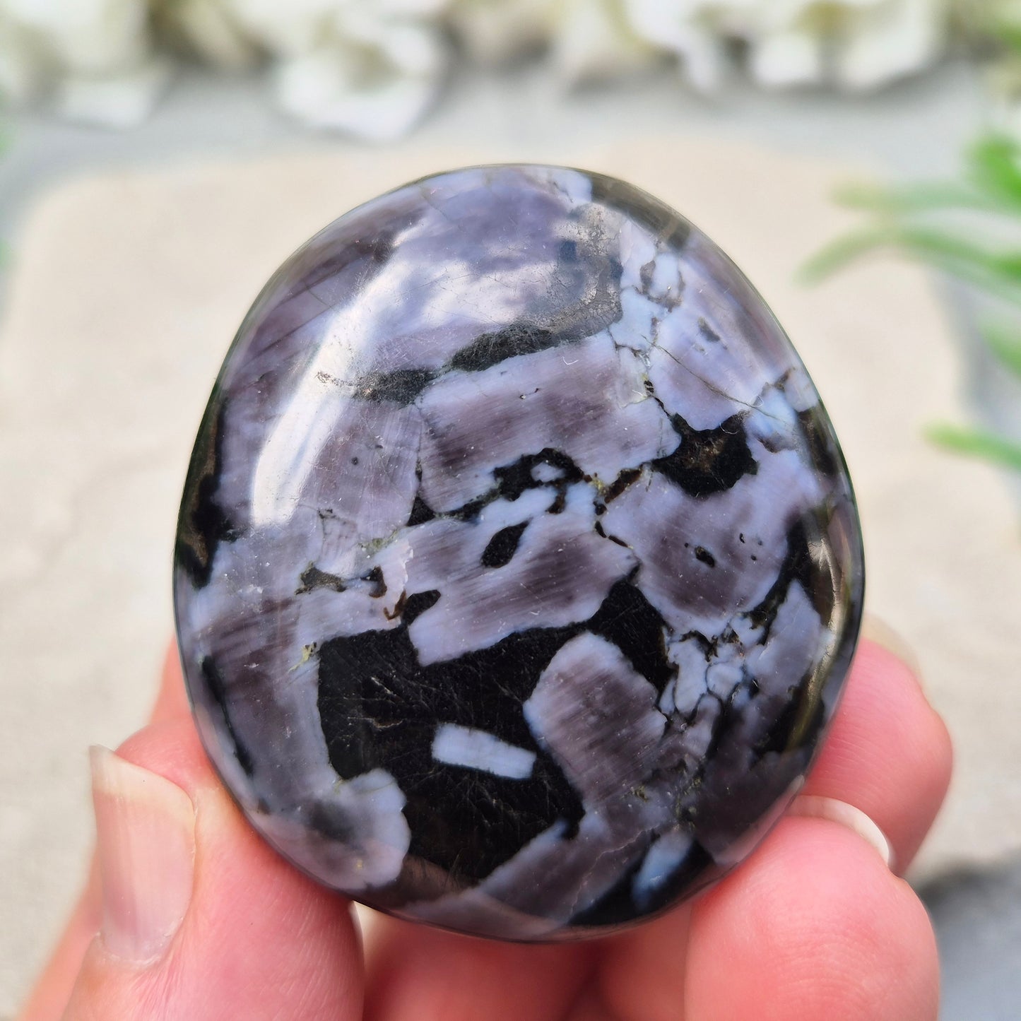 Indigo Gabbro (Mystic Merlinite) Crystal Palm Stone