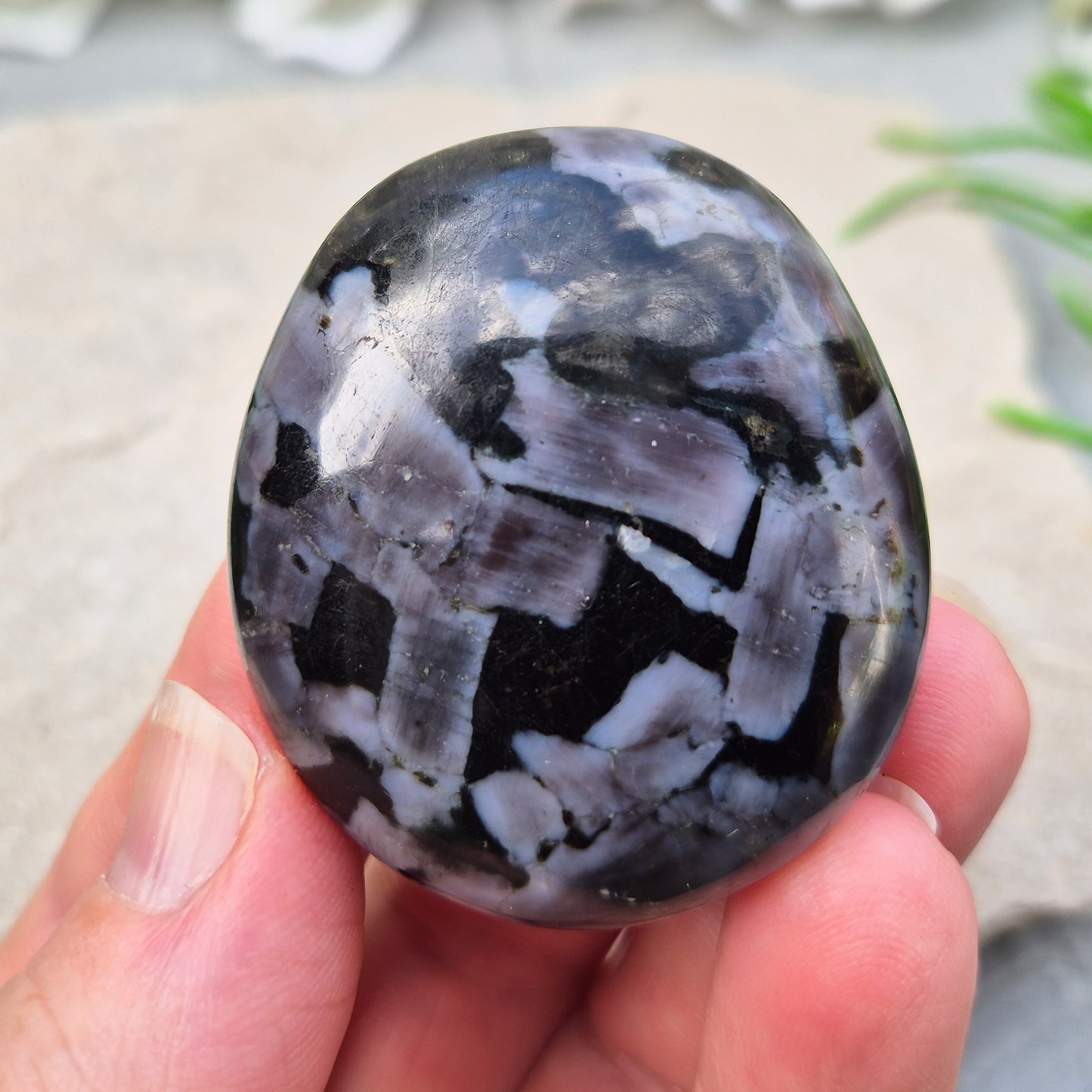 Indigo Gabbro (Mystic Merlinite) Crystal Palm Stone