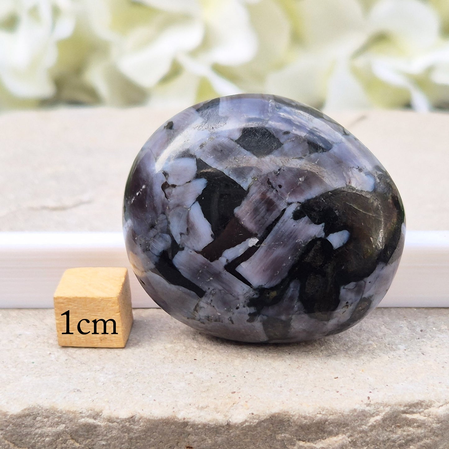 Indigo Gabbro (Mystic Merlinite) Crystal Palm Stone