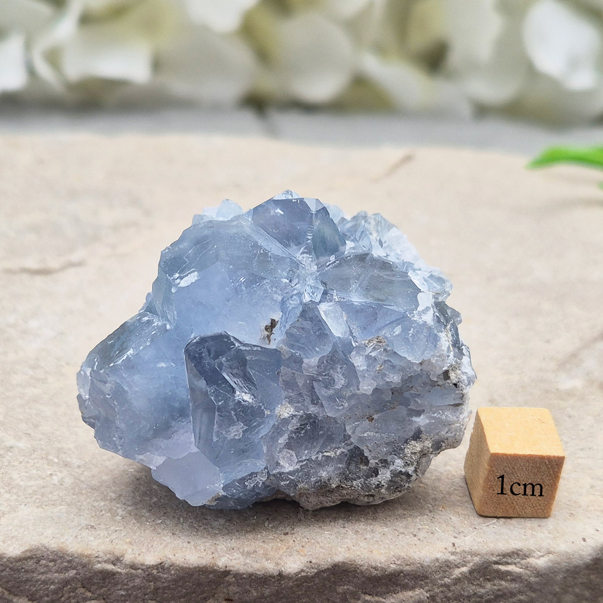 Sparkling Celestite cluster from Madagascar. A calming, uplifting crystal for peace, creativity, spiritual connection, and angelic guidance.