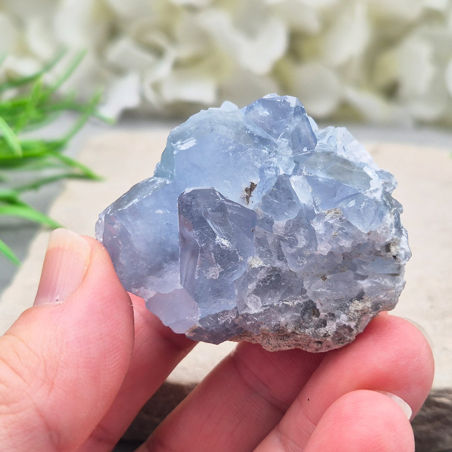 Sparkling Celestite cluster from Madagascar. A calming, uplifting crystal for peace, creativity, spiritual connection, and angelic guidance.