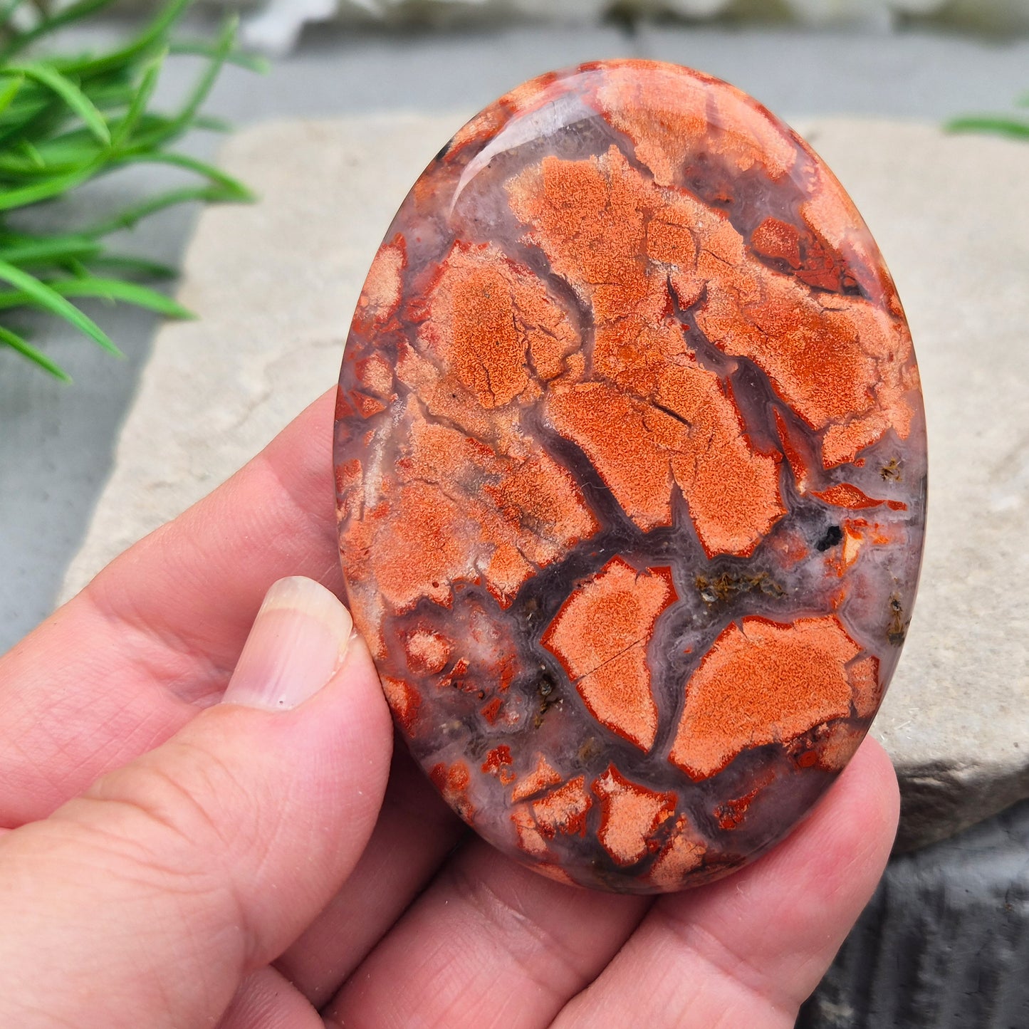 Poppy Jasper palm stone from USA. Boosts vitality, passion, insight and determination. Grounds and balances your energy when you need a lift.
