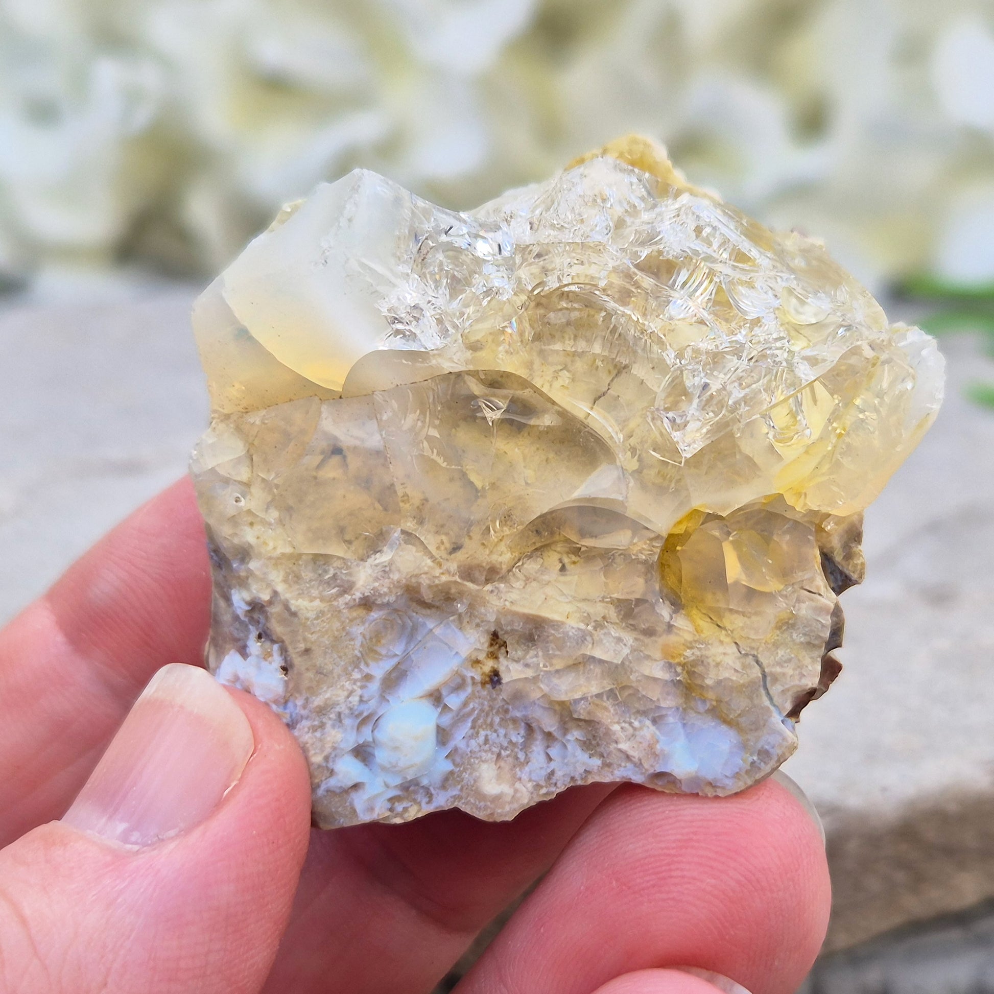 Shop genuine Butte Opal from Oregon, USA. A beautiful and unusual stone associated with inspiration, adaptability, and fresh perspectives.