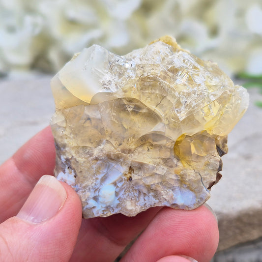 Shop genuine Butte Opal from Oregon, USA. A beautiful and unusual stone associated with inspiration, adaptability, and fresh perspectives.