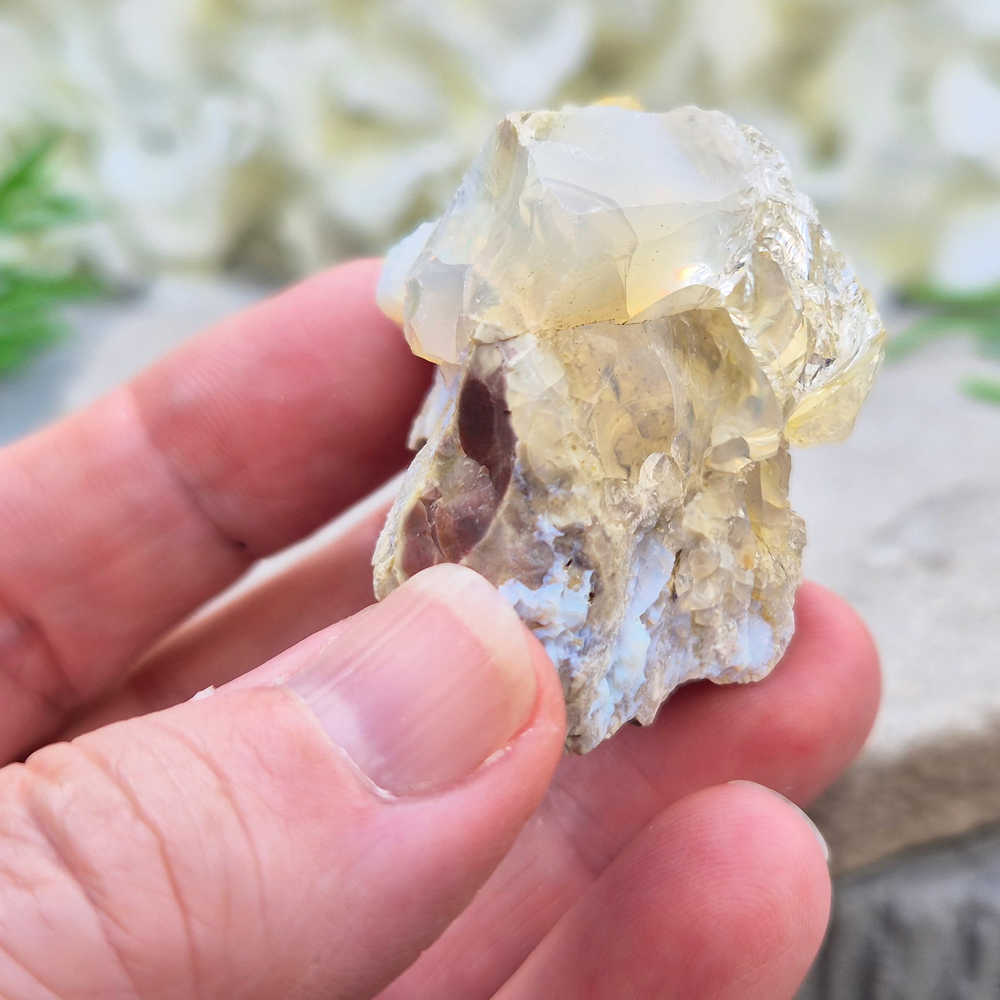 Shop genuine Butte Opal from Oregon, USA. A beautiful and unusual stone associated with inspiration, adaptability, and fresh perspectives.