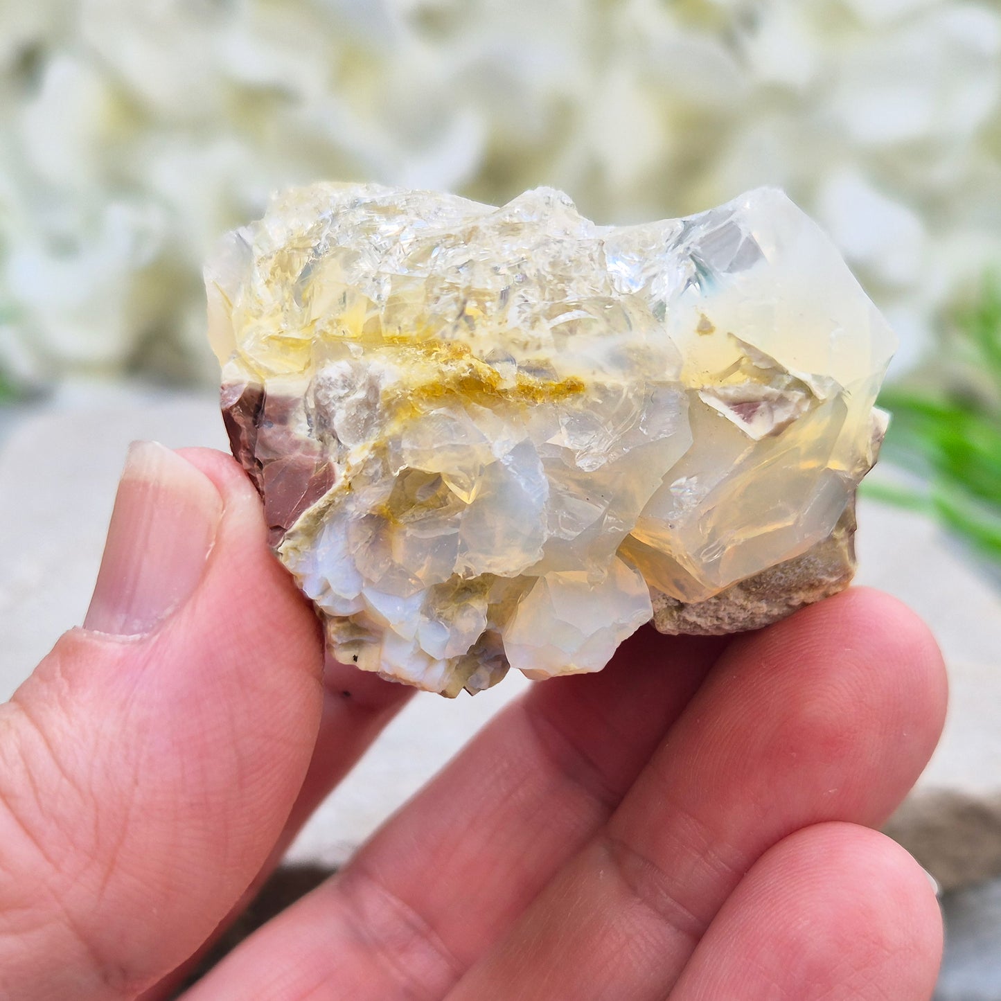 Shop genuine Butte Opal from Oregon, USA. A beautiful and unusual stone associated with inspiration, adaptability, and fresh perspectives.