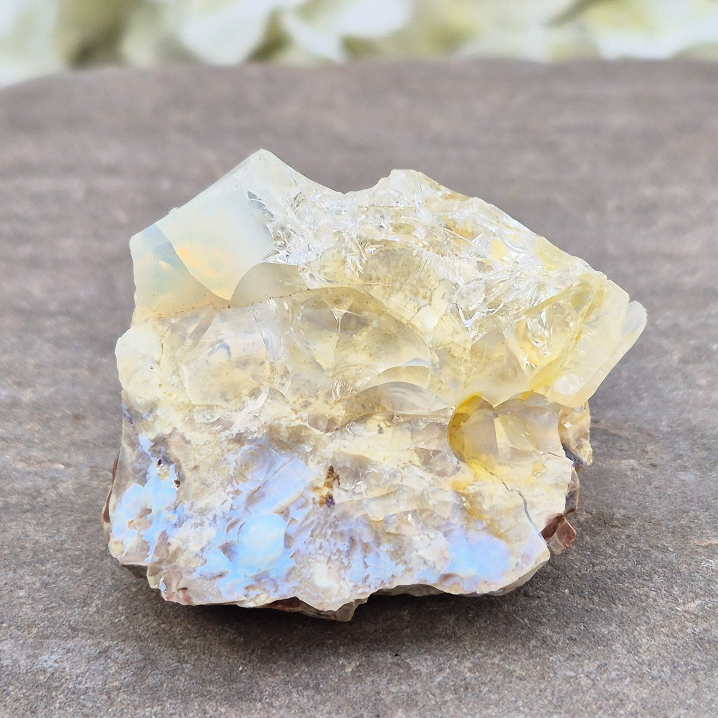 Shop genuine Butte Opal from Oregon, USA. A beautiful and unusual stone associated with inspiration, adaptability, and fresh perspectives.