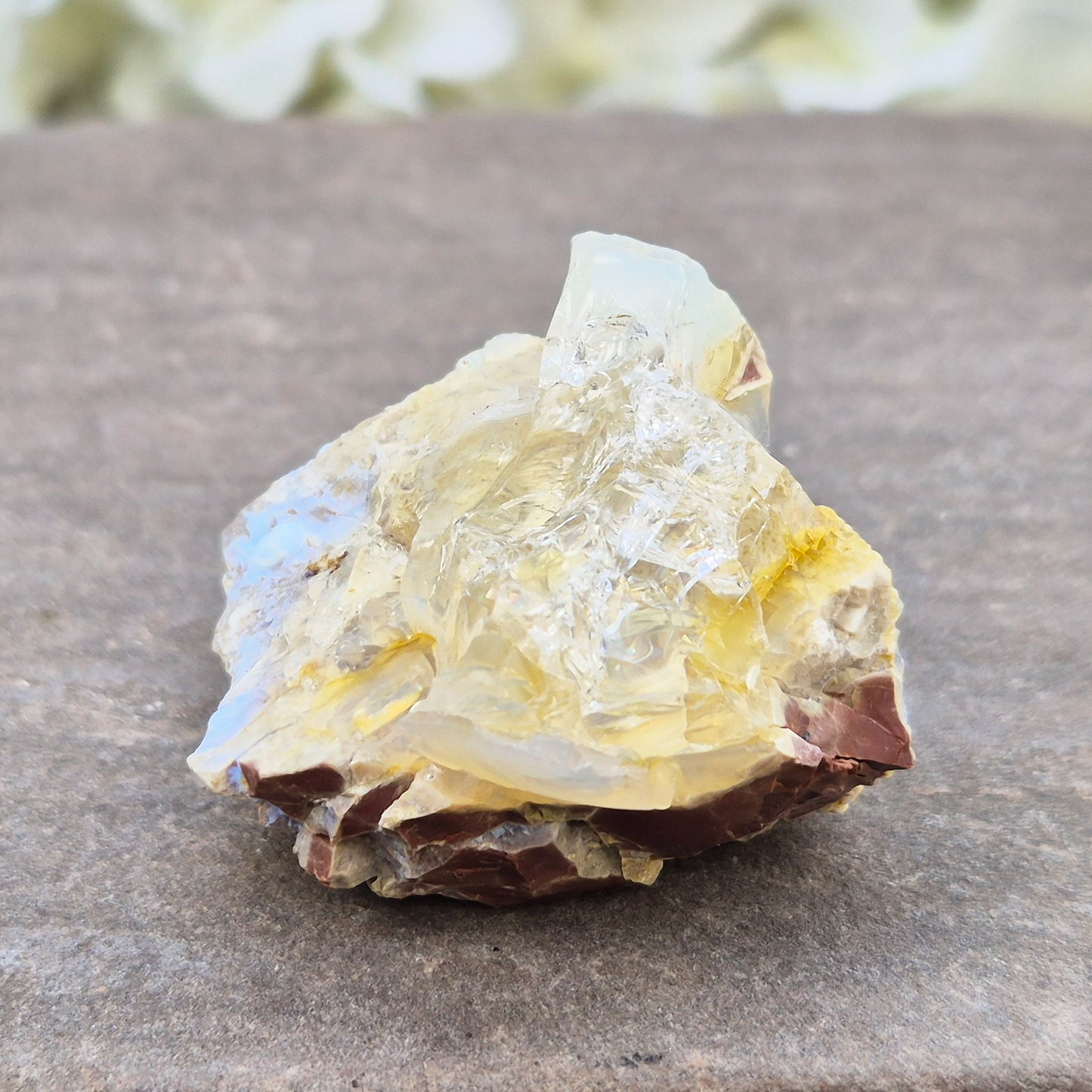 Shop genuine Butte Opal from Oregon, USA. A beautiful and unusual stone associated with inspiration, adaptability, and fresh perspectives.