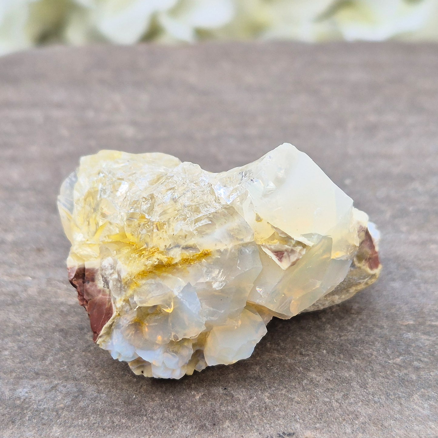 Shop genuine Butte Opal from Oregon, USA. A beautiful and unusual stone associated with inspiration, adaptability, and fresh perspectives.