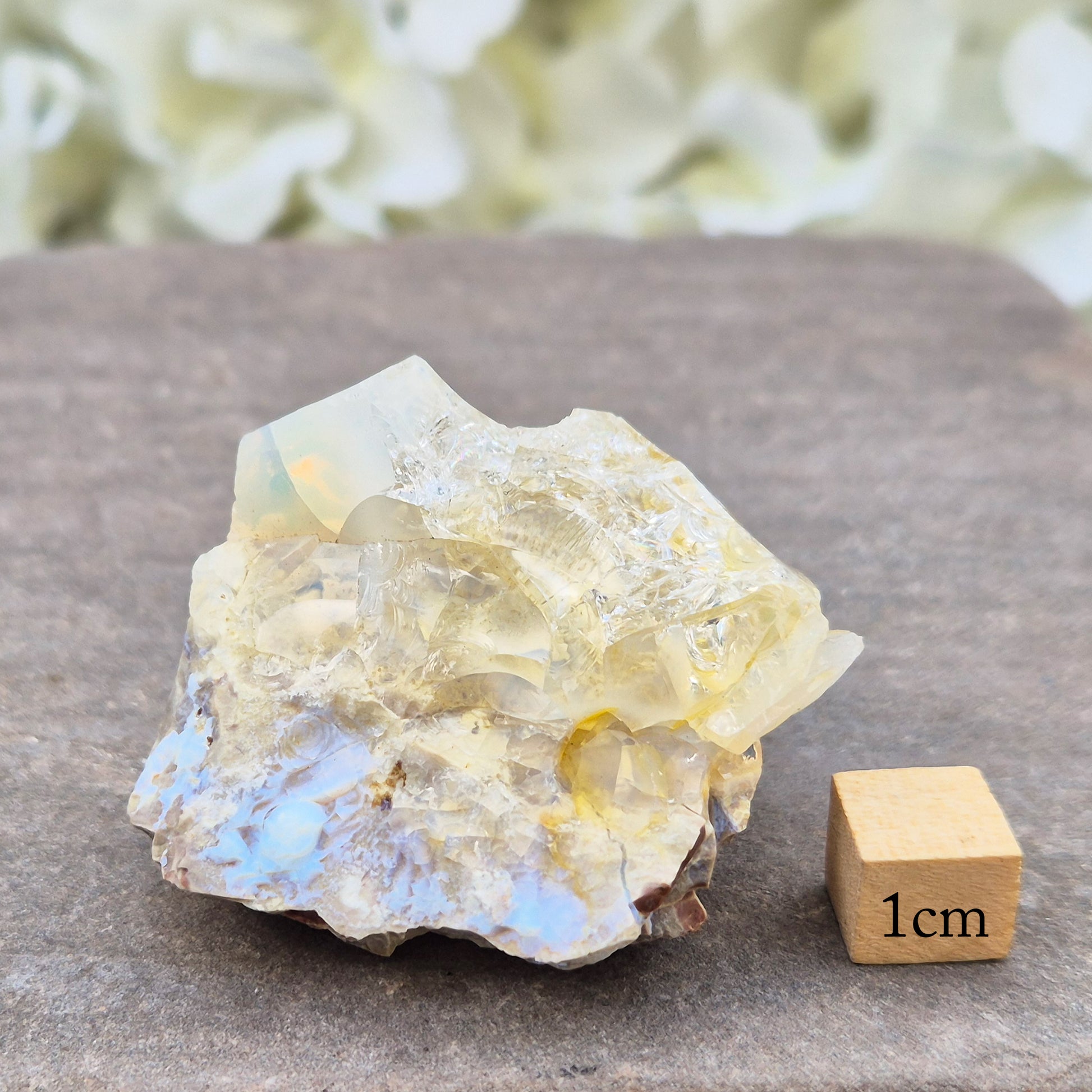 Shop genuine Butte Opal from Oregon, USA. A beautiful and unusual stone associated with inspiration, adaptability, and fresh perspectives.