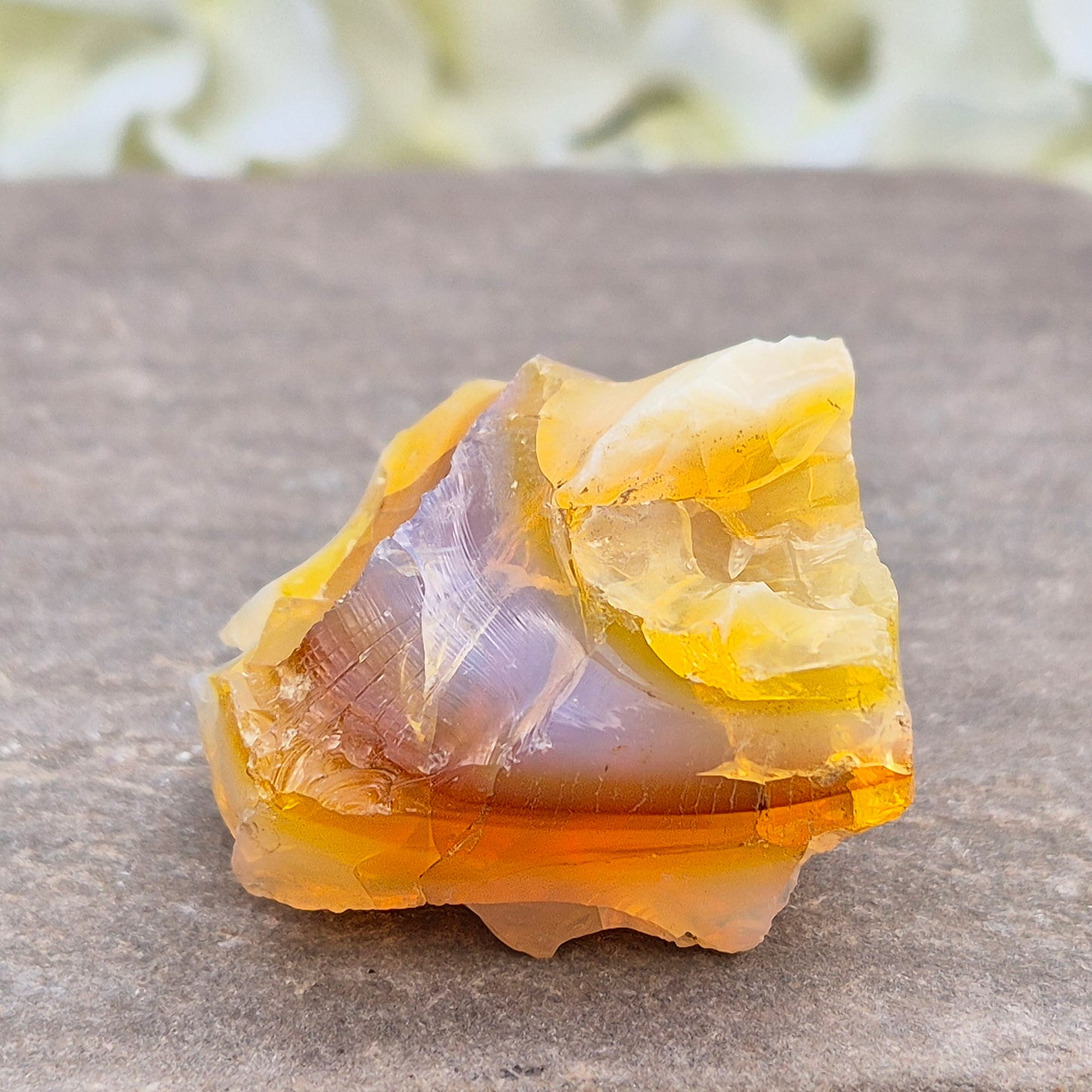 Discover natural Butte Opal from Opal Butte, Oregon, USA. A unique stone that supports creativity, intuition, positivity, and personal growth.