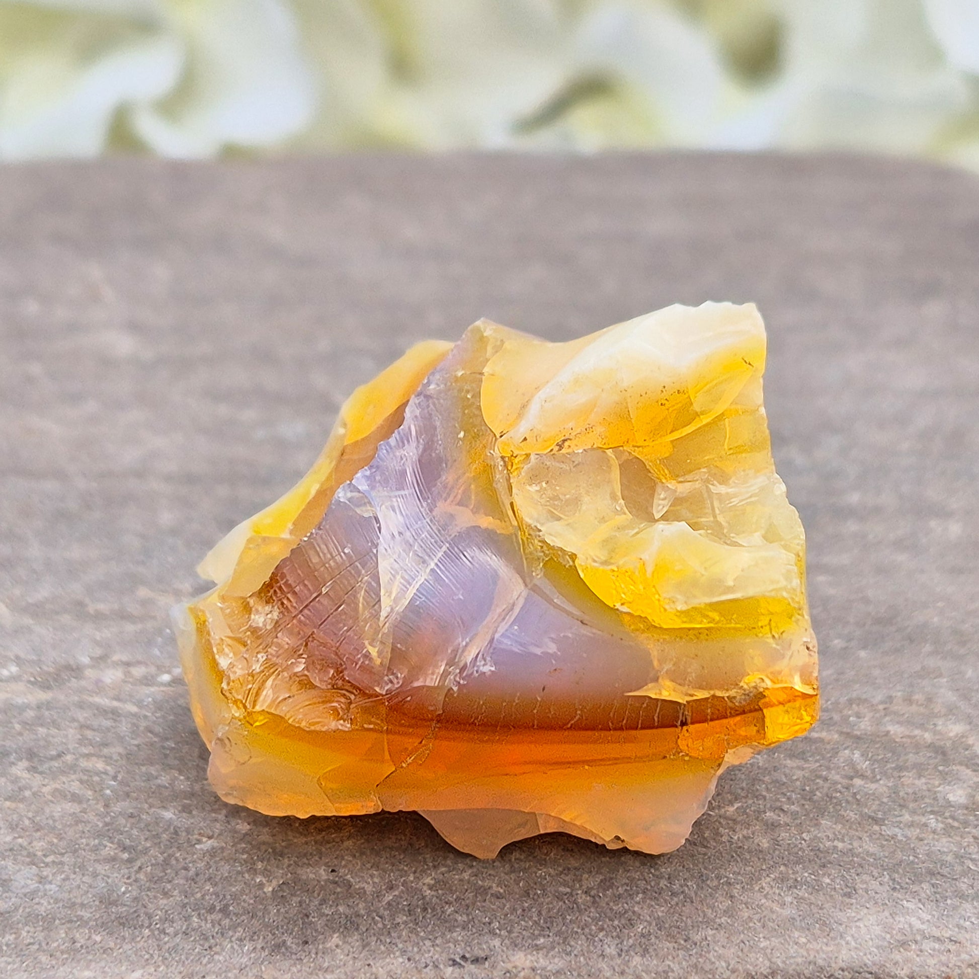 Discover natural Butte Opal from Opal Butte, Oregon, USA. A unique stone that supports creativity, intuition, positivity, and personal growth.